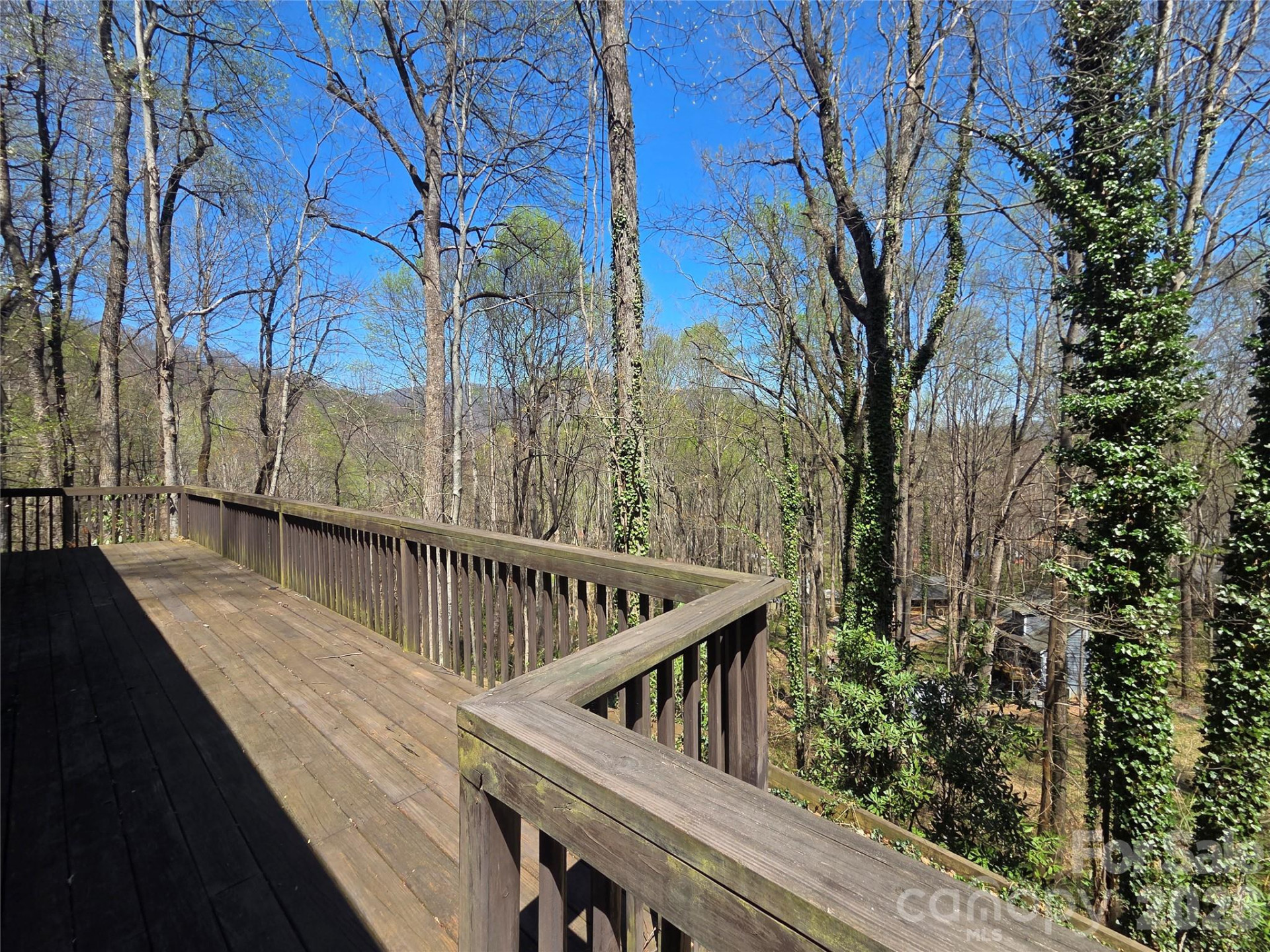 662 Locust Drive - Photo 4