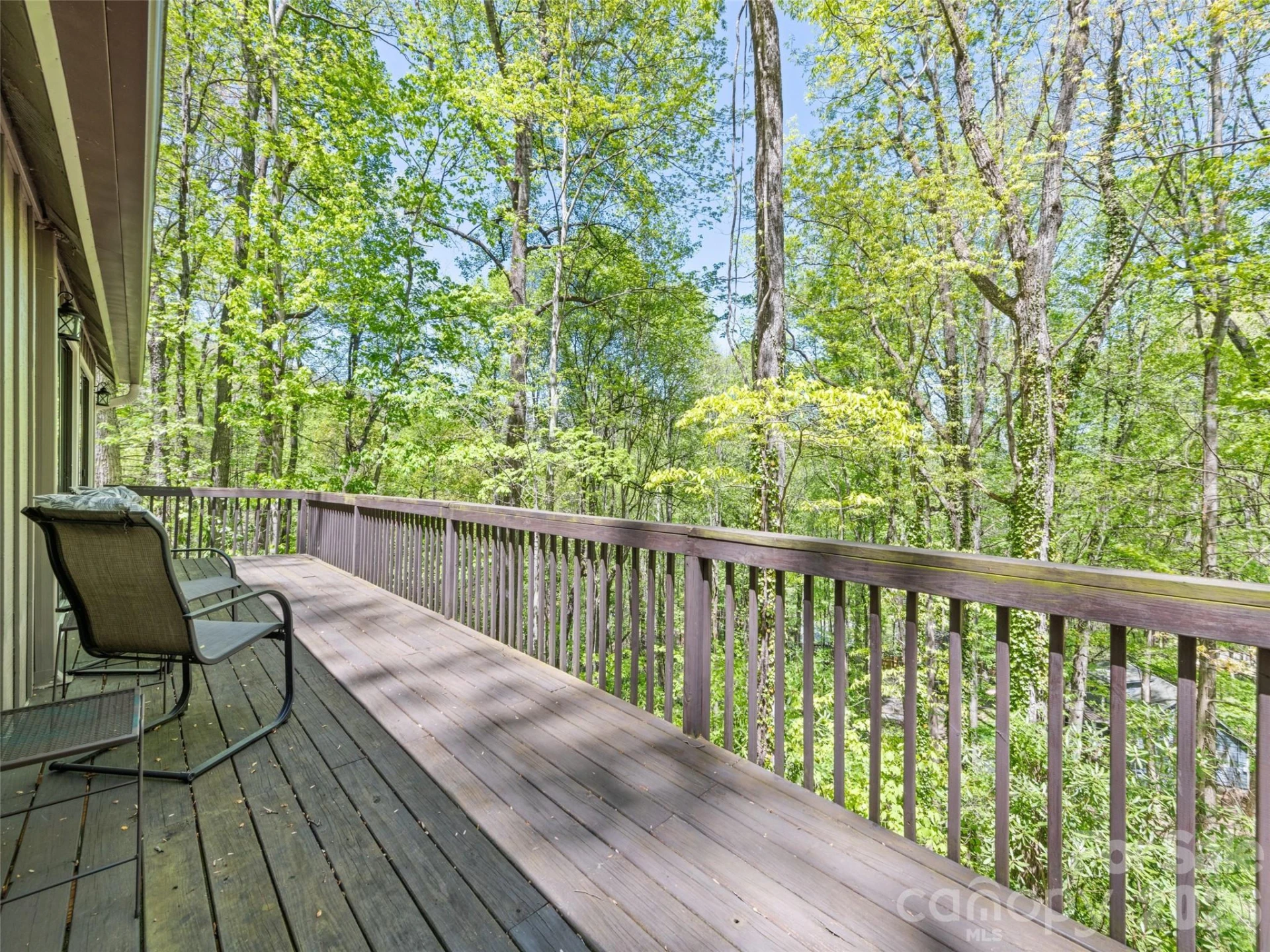 662 Locust Drive - Photo 4