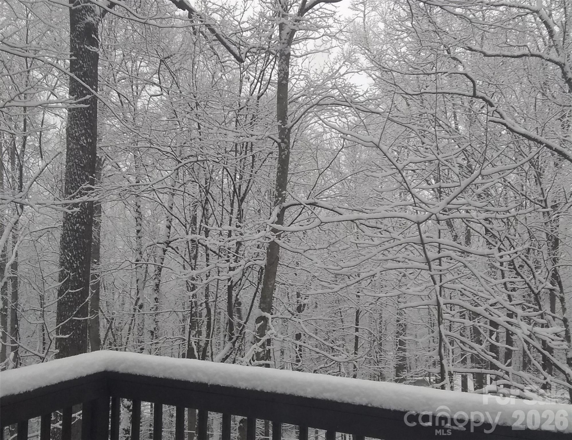 662 Locust Drive - Photo 32