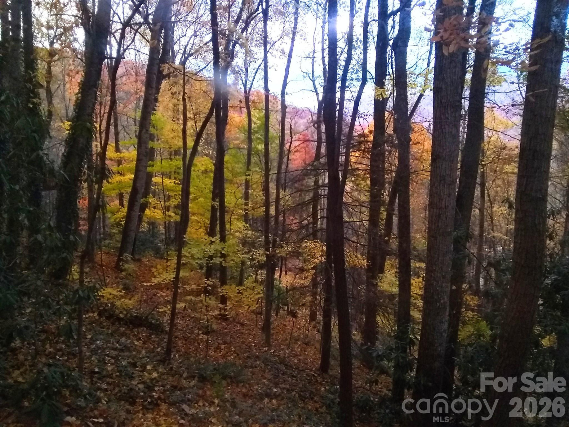 662 Locust Drive - Photo 34