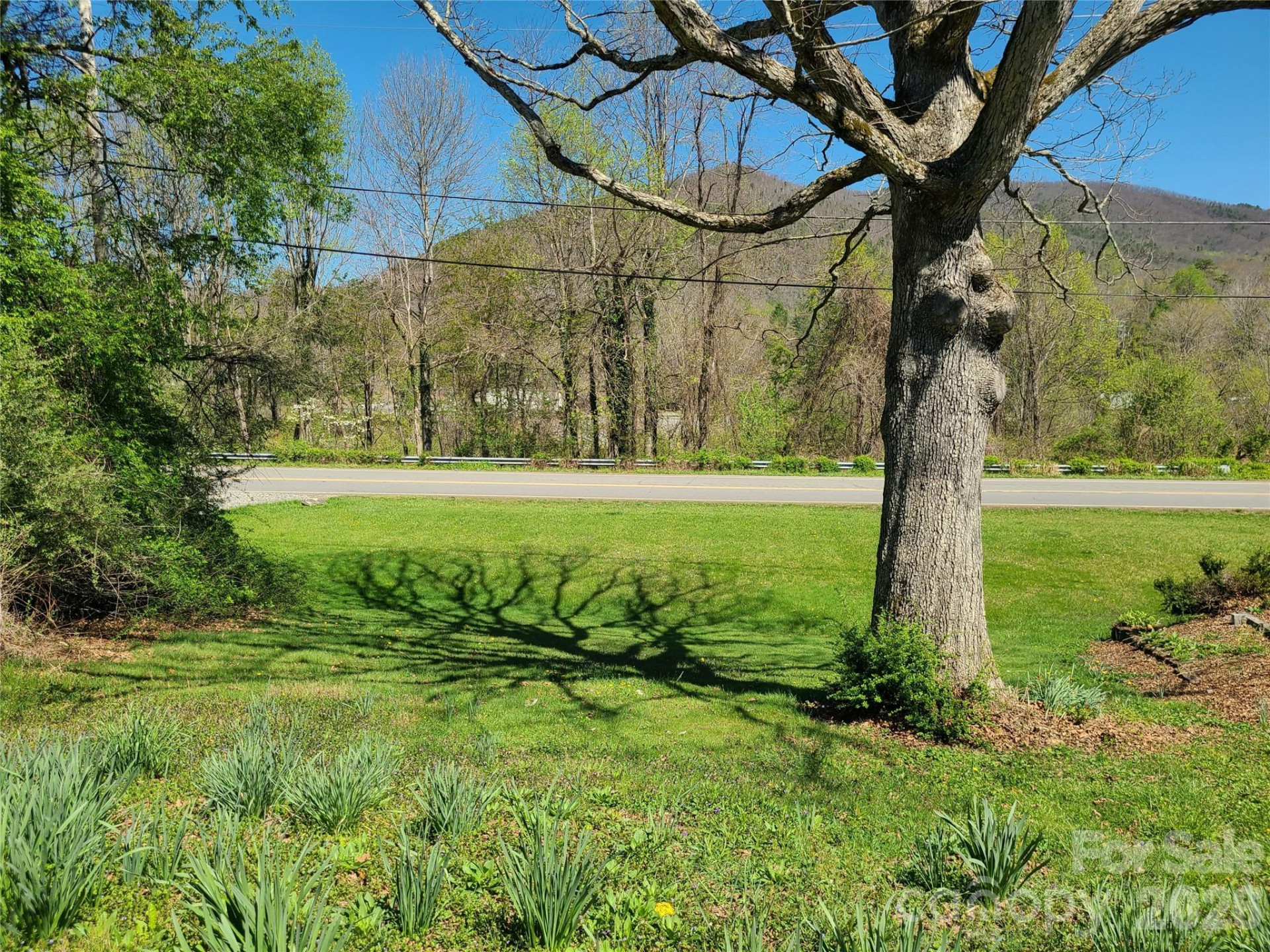 106 Yates Avenue - Photo 7