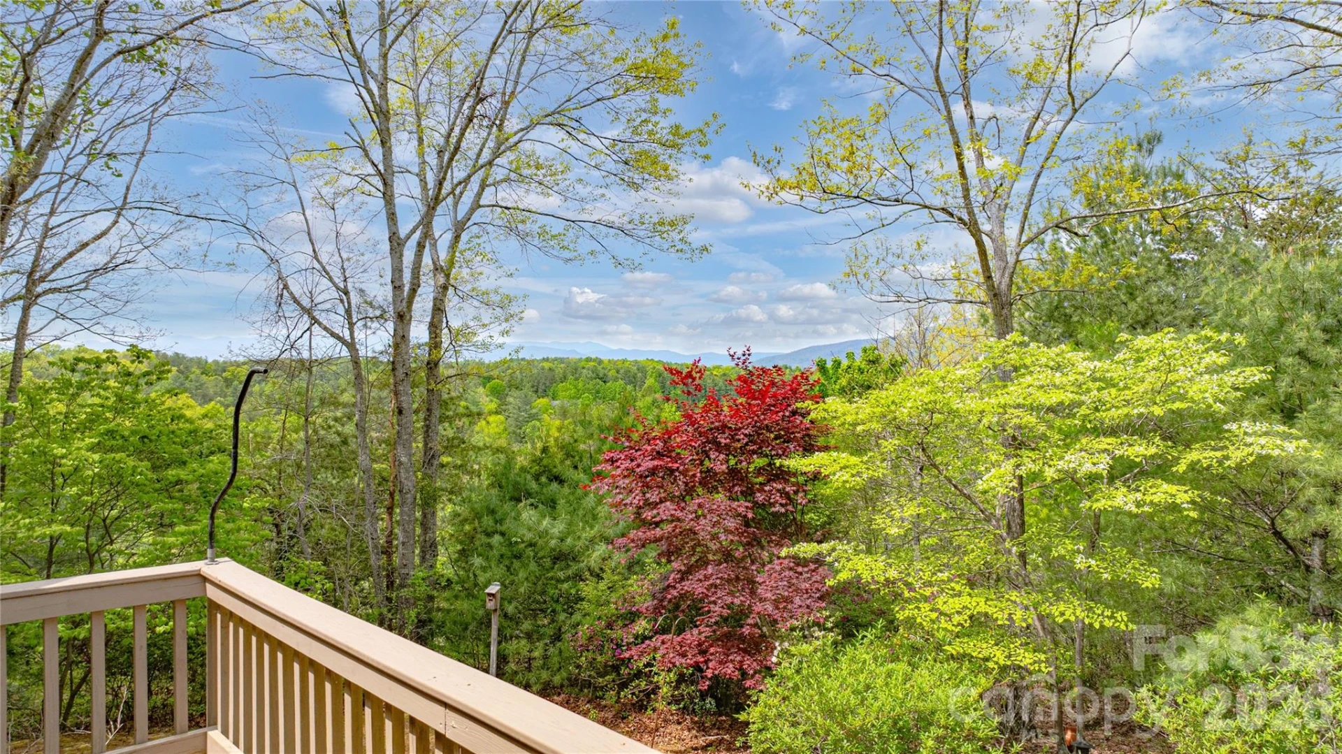 27 Magnolia Drive - Photo 7