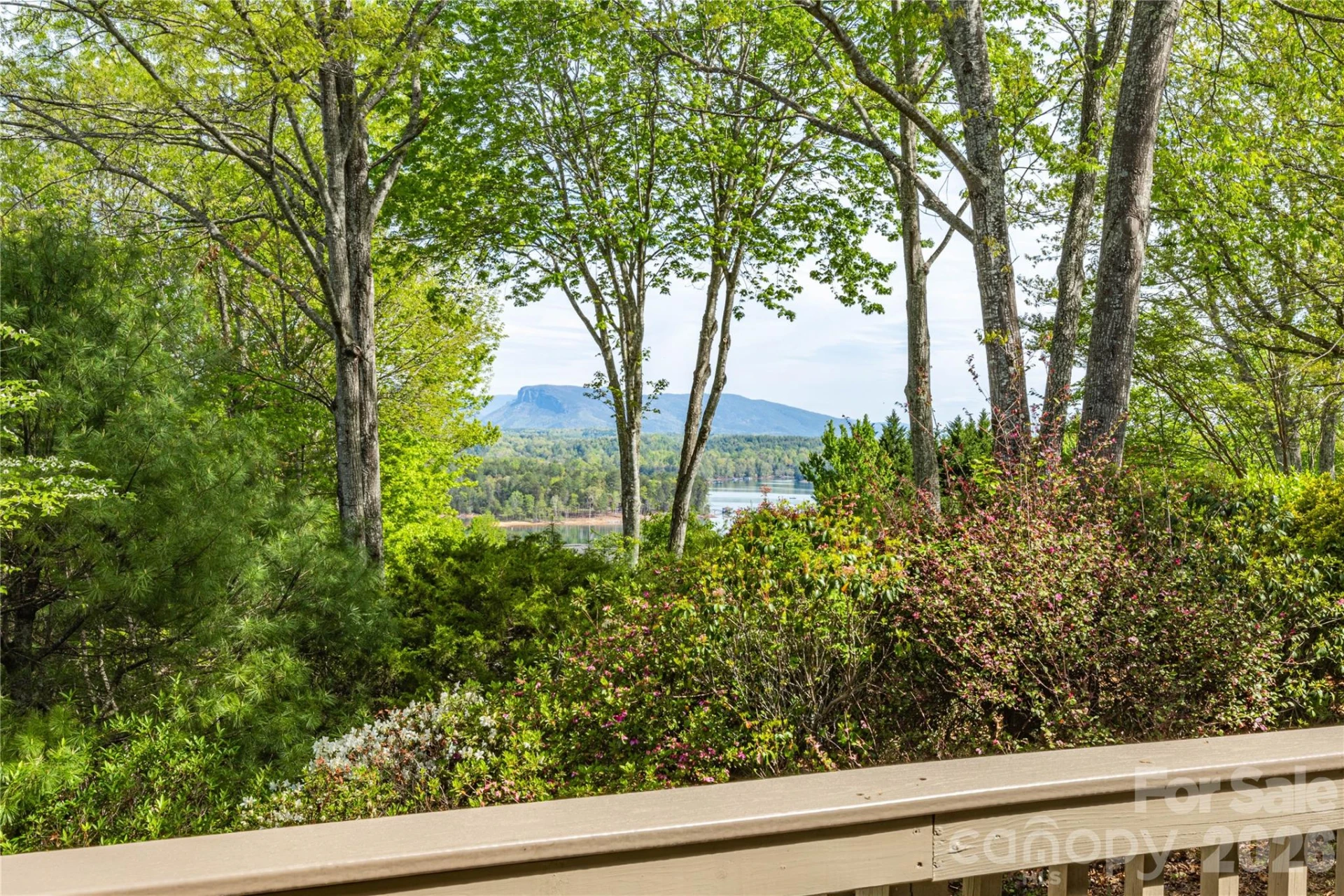 27 Magnolia Drive - Photo 8