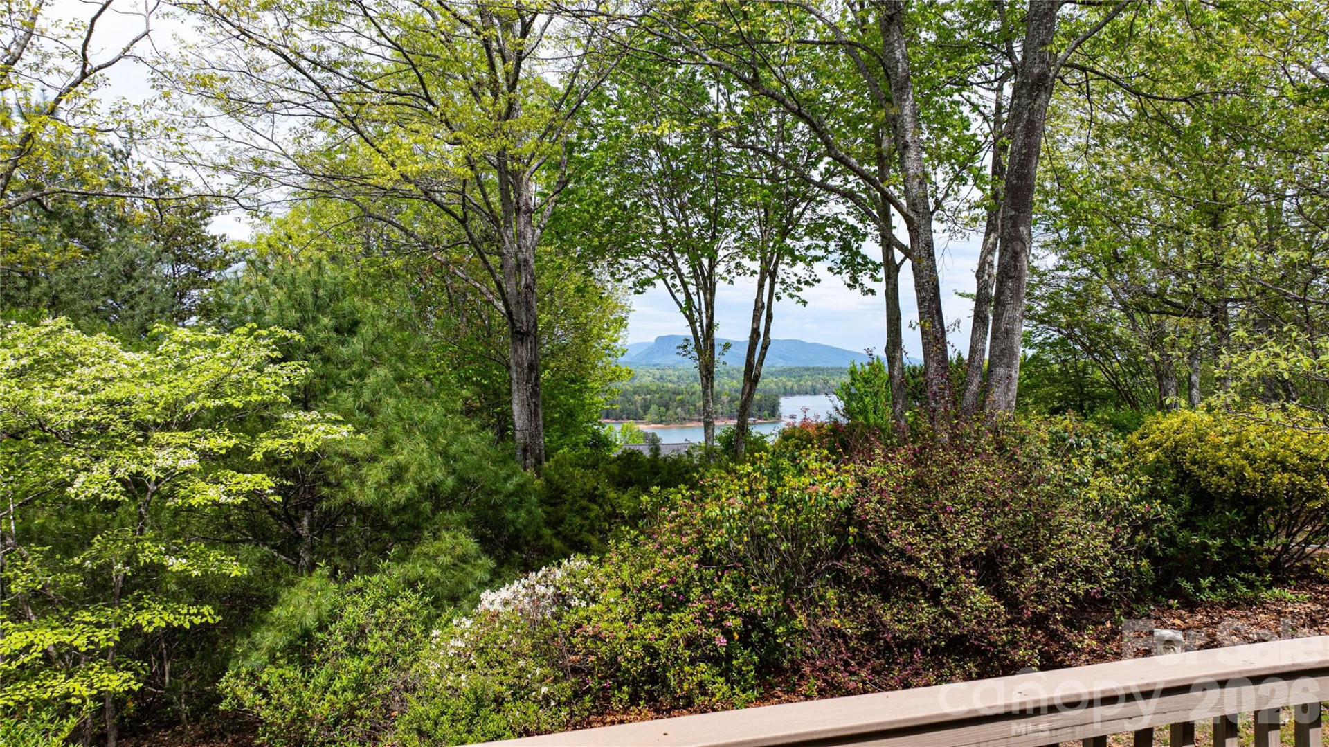 27 Magnolia Drive - Photo 12