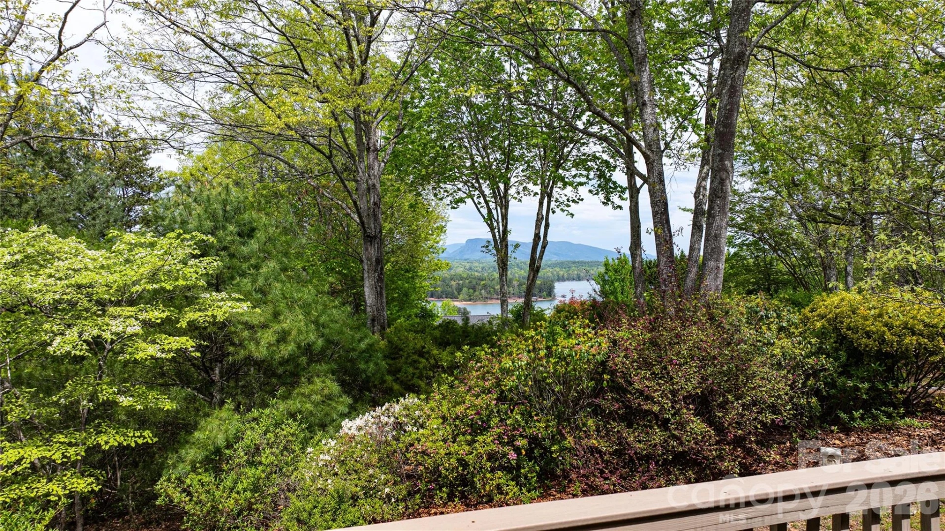 27 Magnolia Drive - Photo 9
