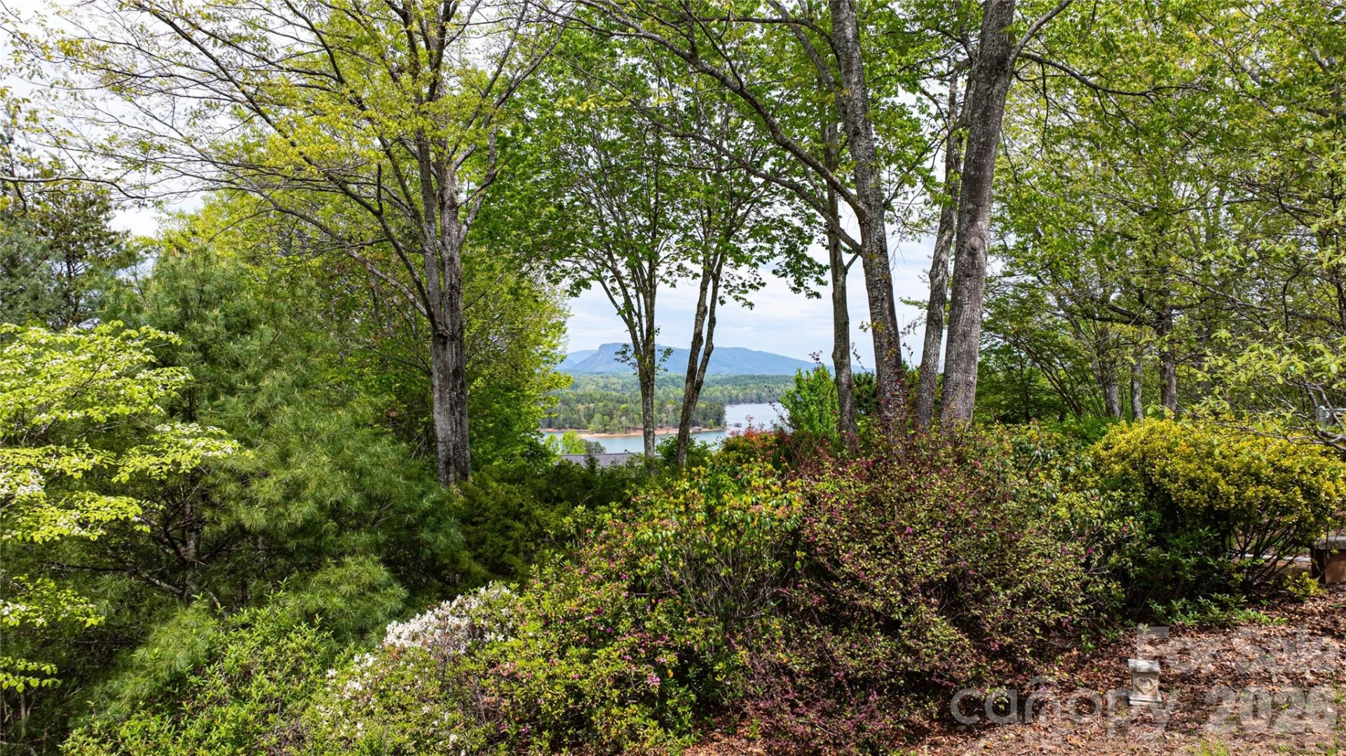 27 Magnolia Drive - Photo 10