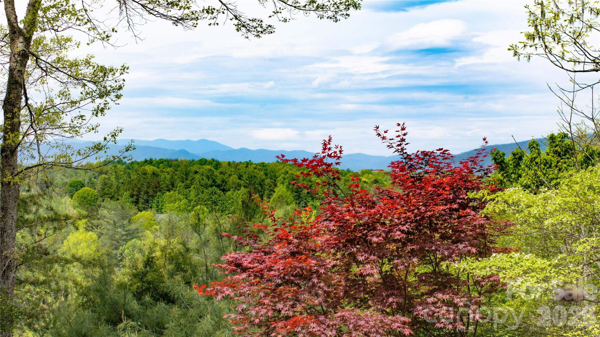 27 Magnolia Drive - Photo 14