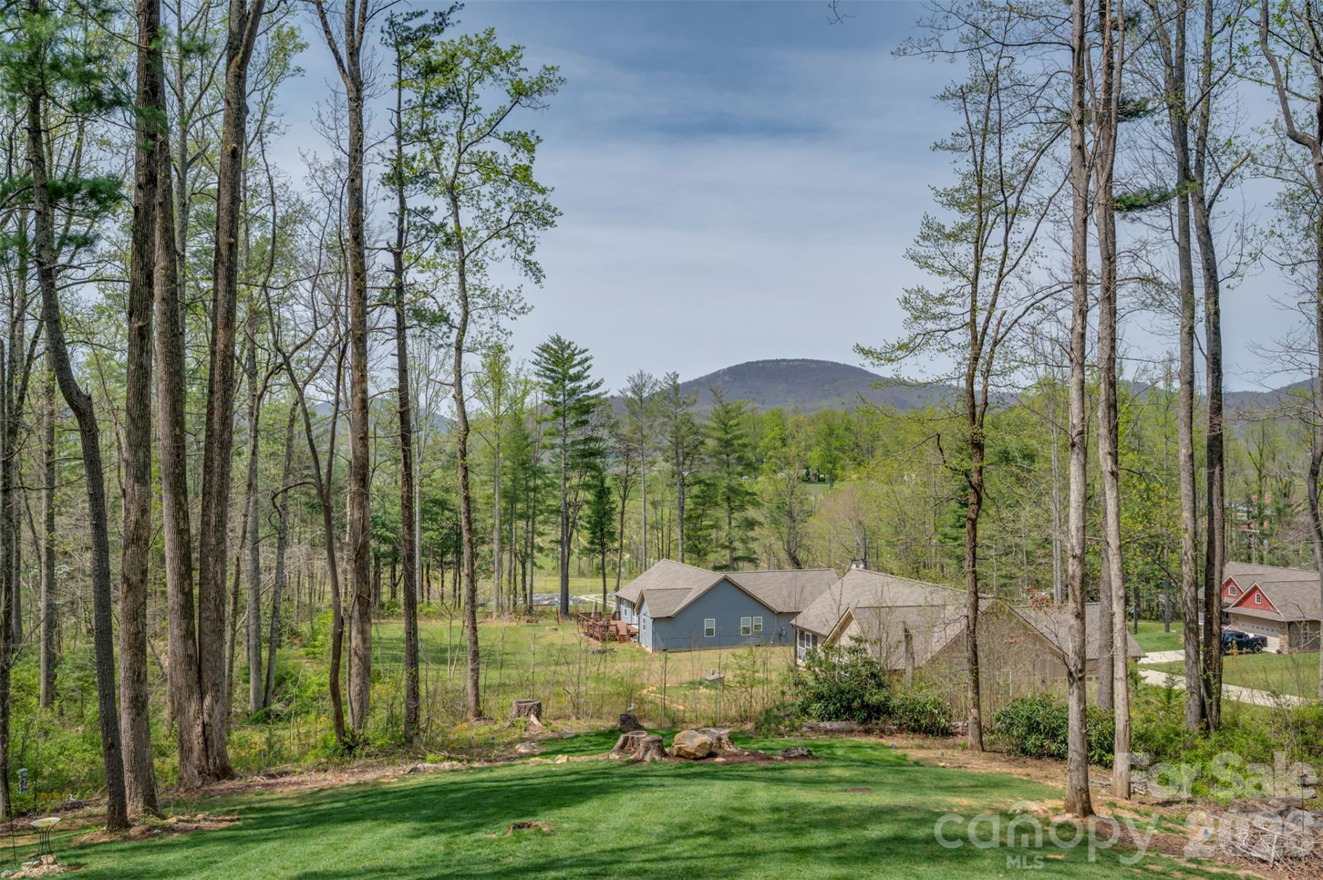 88 Pounding Mill None - Photo 6