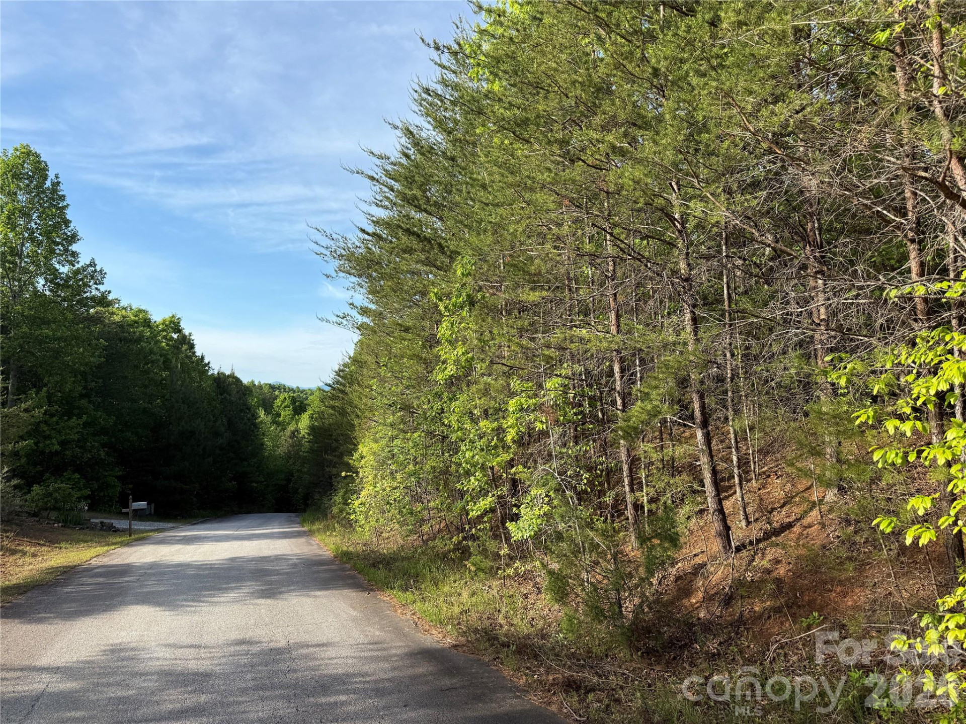 0 Shenandoah Drive #3B - Photo 11