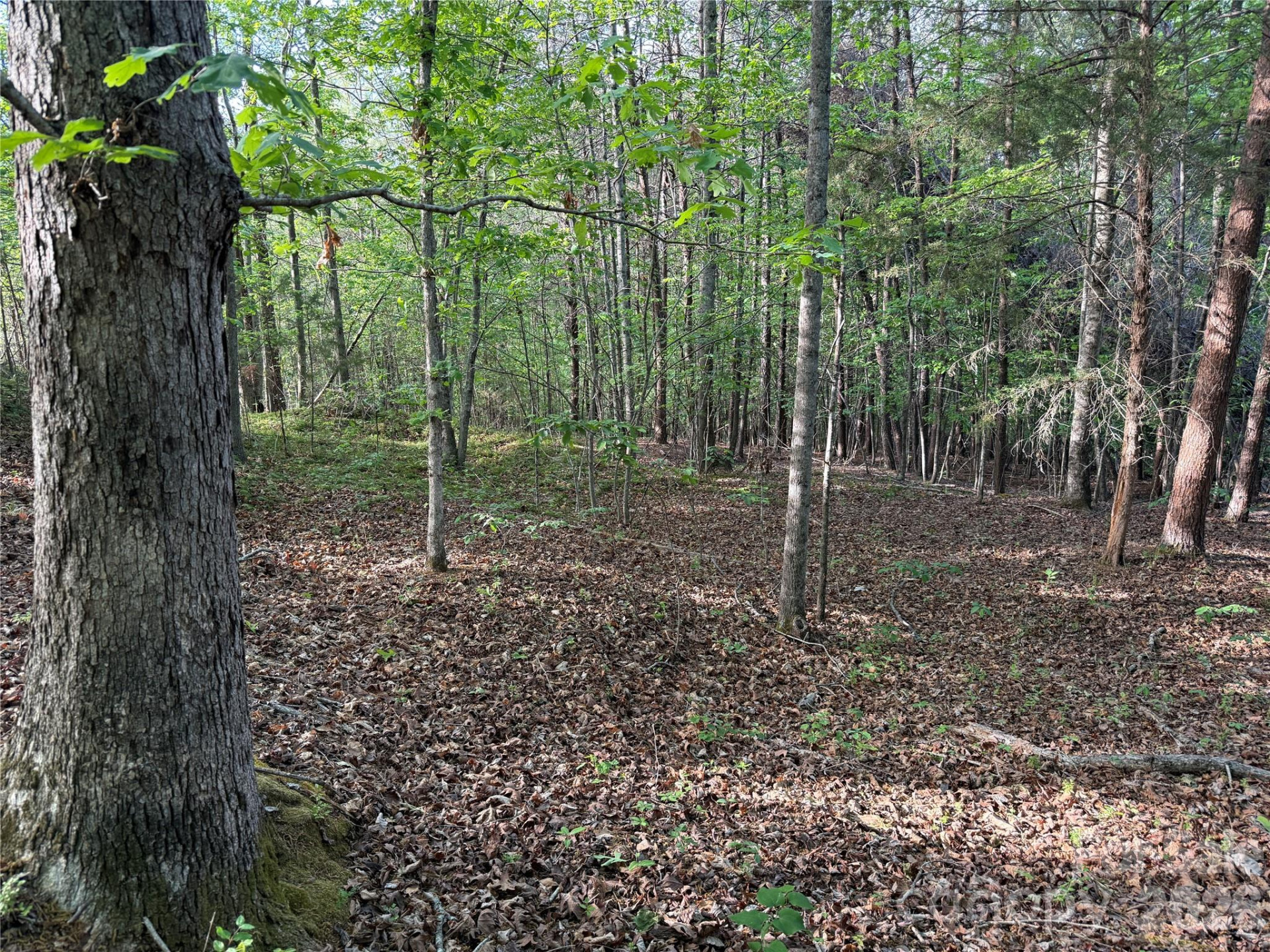 0 Shenandoah Drive #3B - Photo 3