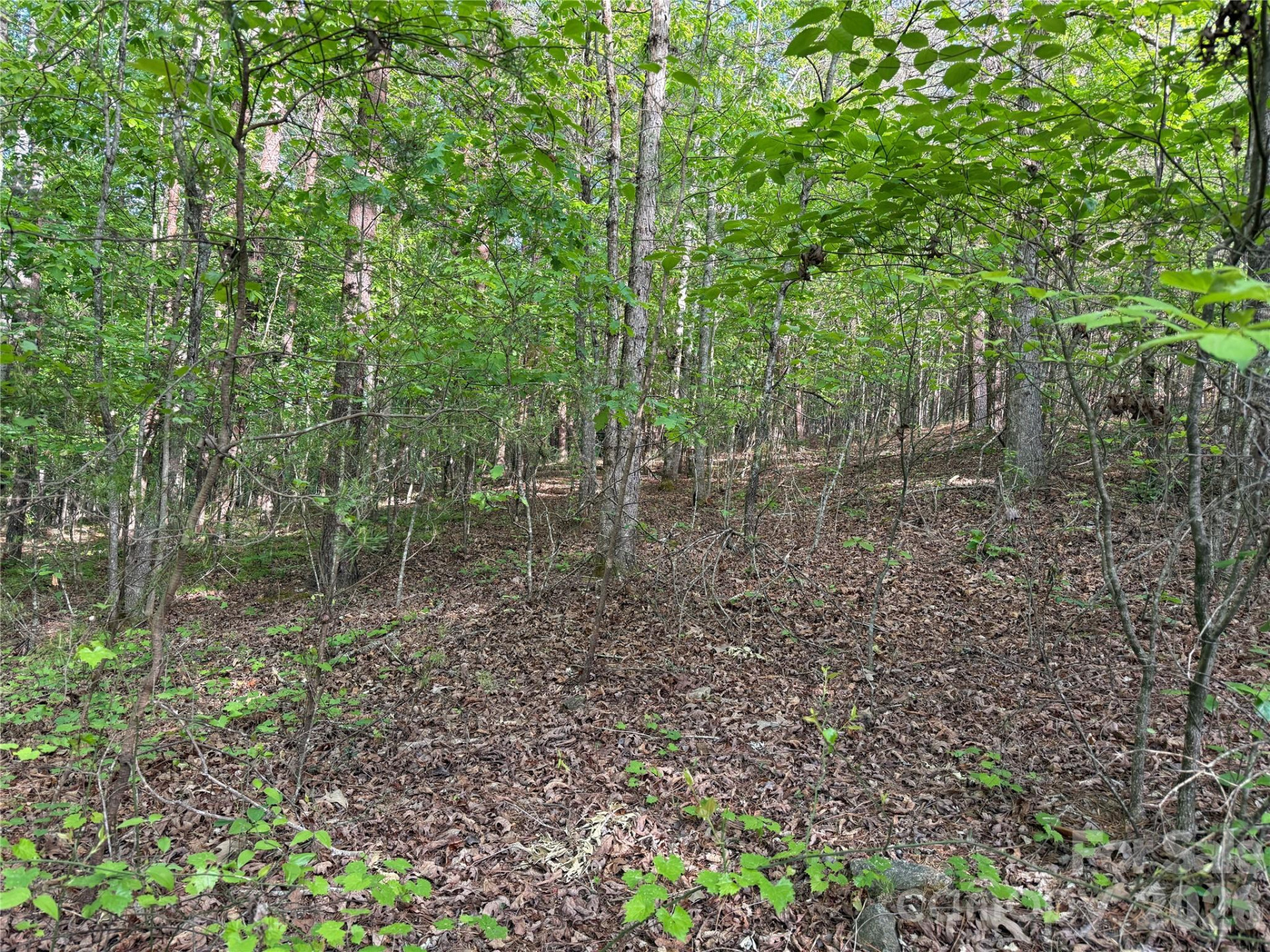 0 Shenandoah Drive #3B - Photo 4