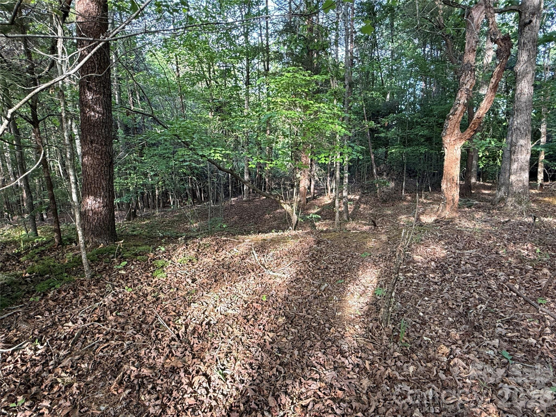 0 Shenandoah Drive #3B - Photo 5