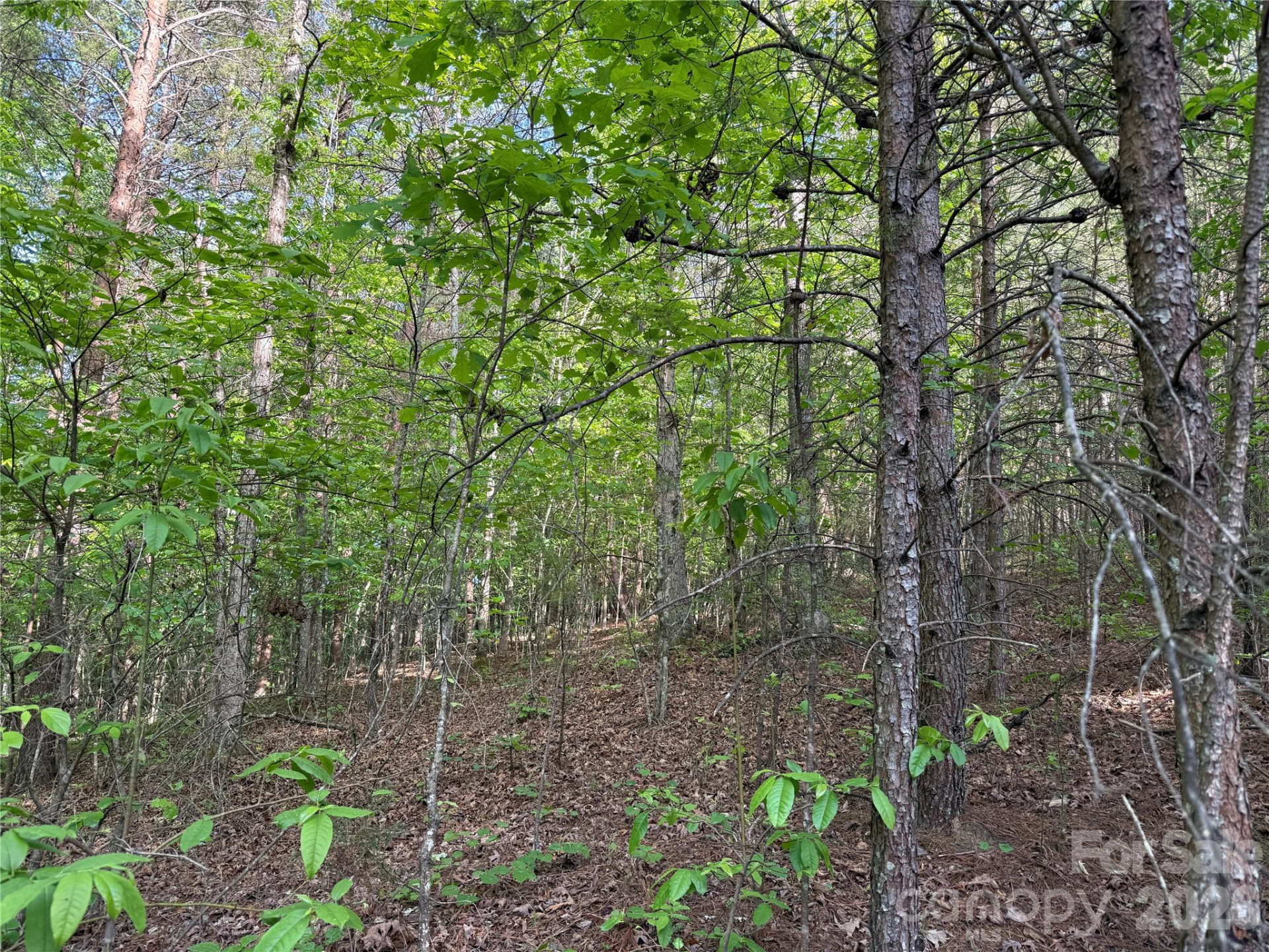 0 Shenandoah Drive #3B - Photo 6