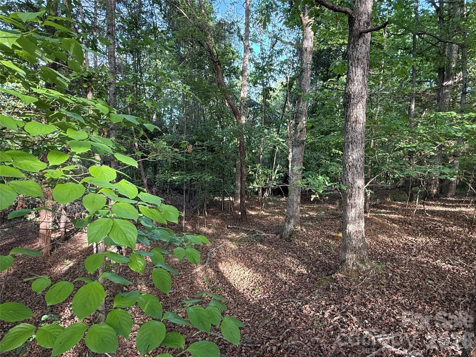 0 Shenandoah Drive #3B - Photo 7