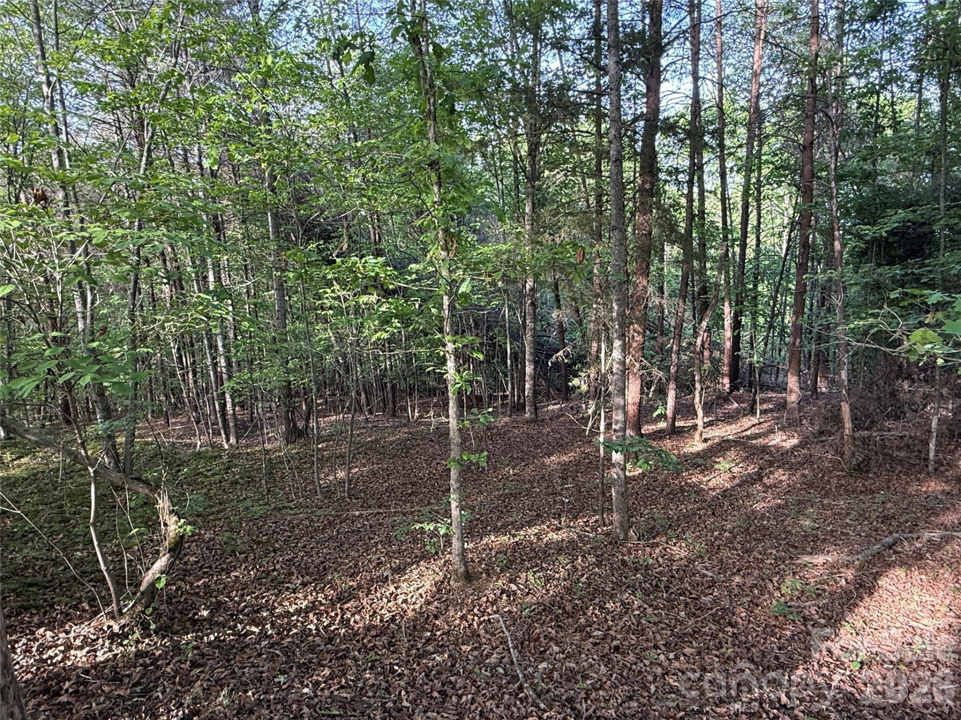 0 Shenandoah Drive #3B - Photo 8