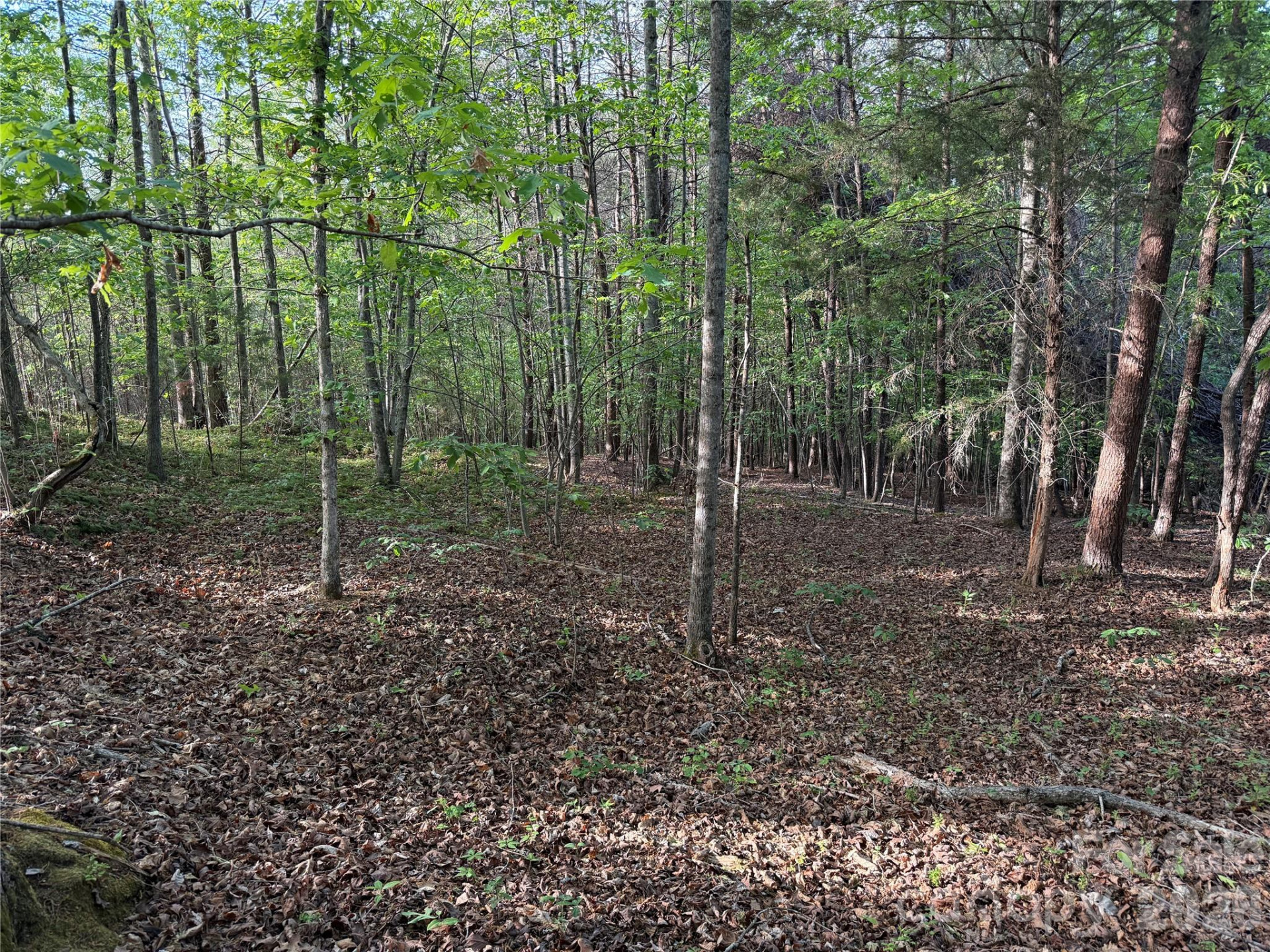 0 Shenandoah Drive #3B - Photo 9