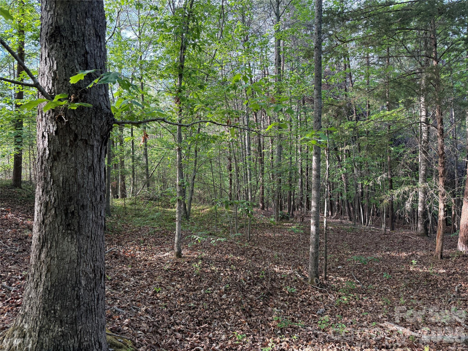 0 Shenandoah Drive #3B - Photo 10