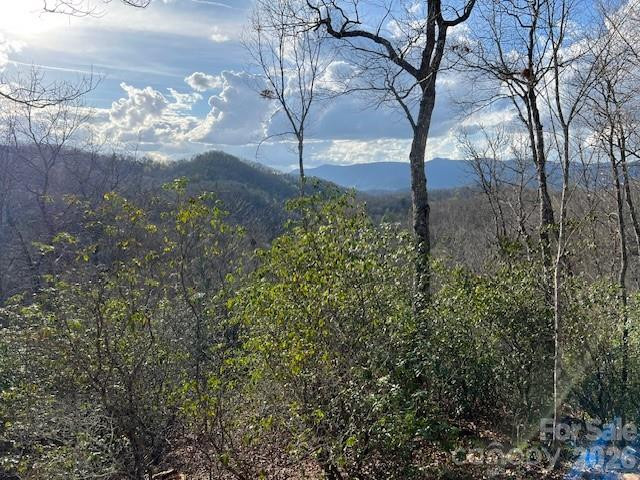 646 Fontana Ridge Road - Photo 11