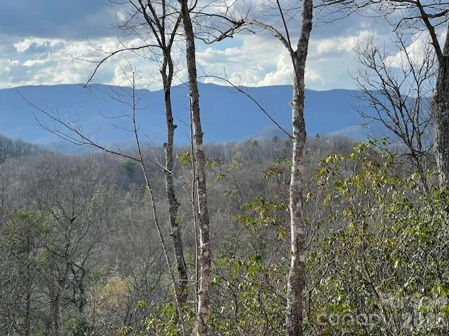 646 Fontana Ridge Road - Photo 9