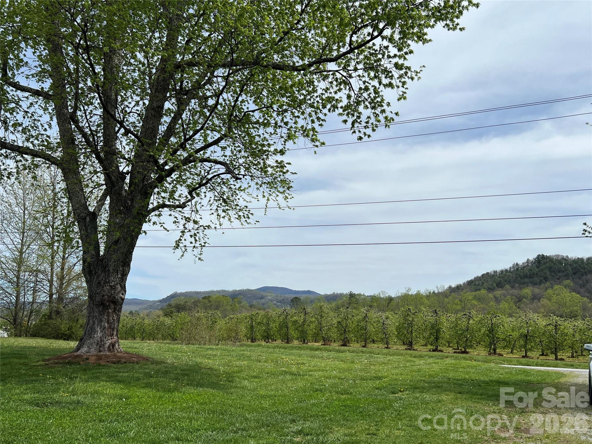 93 Laycock Road - Photo 2