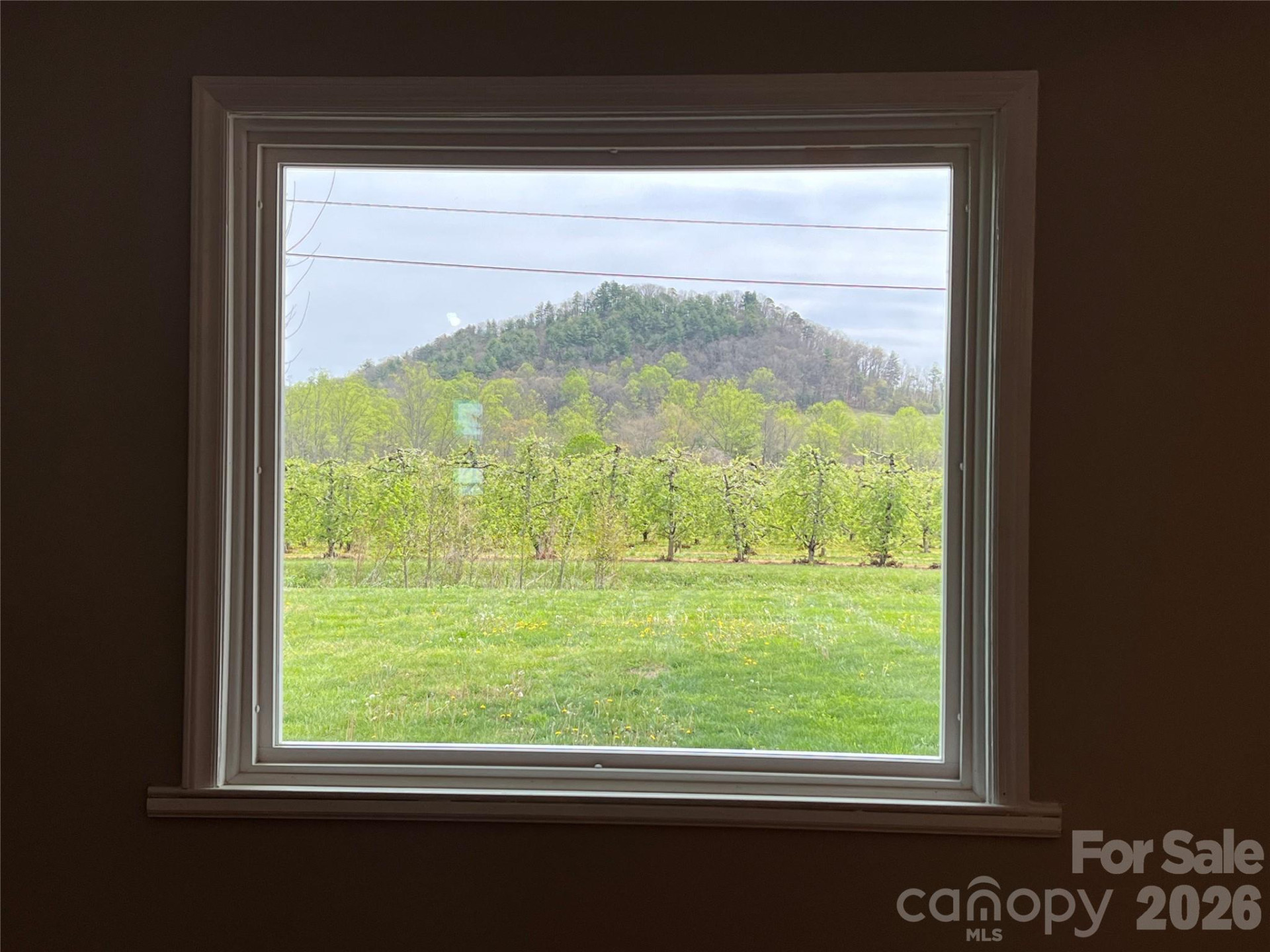 93 Laycock Road - Photo 12