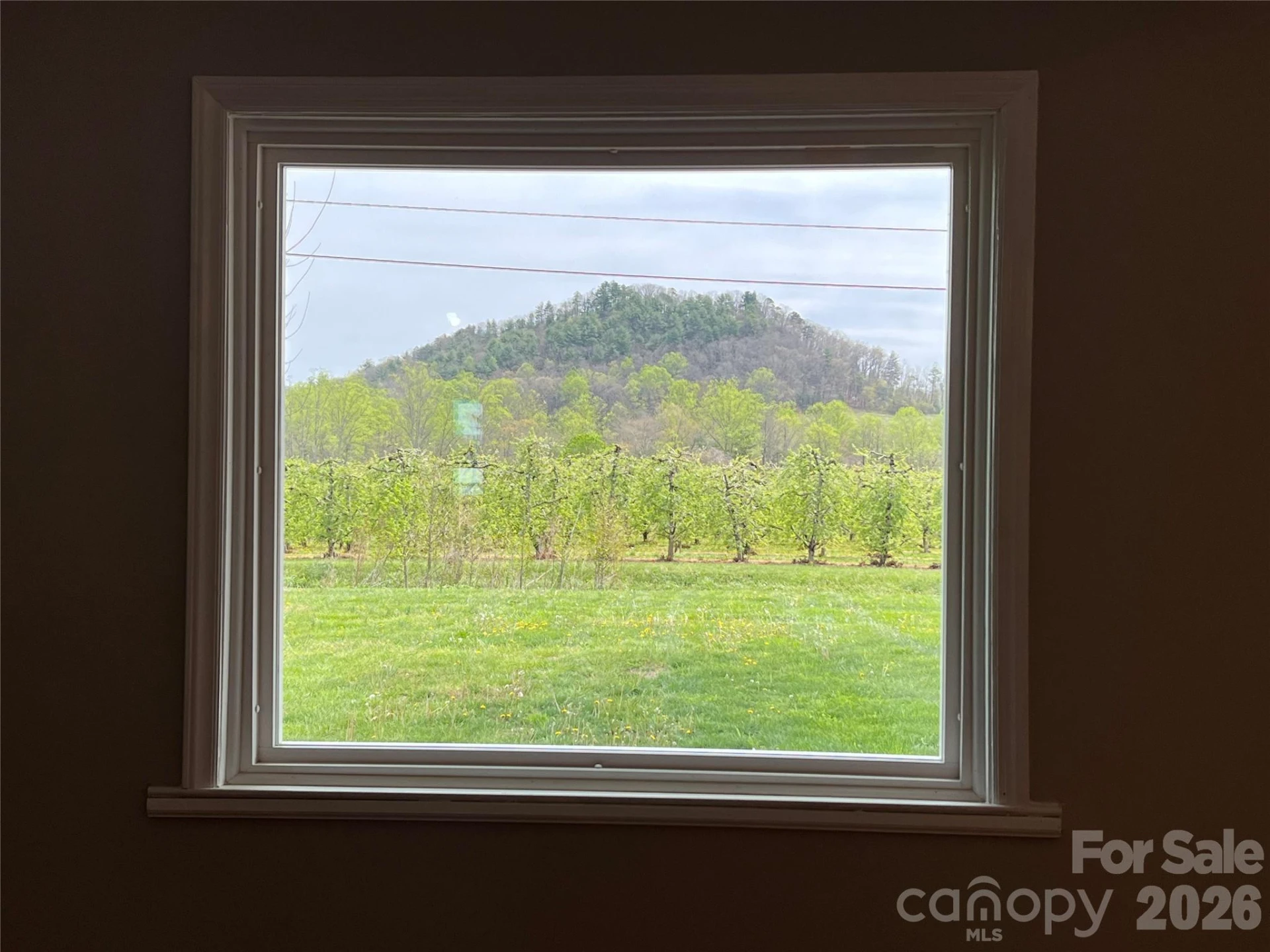 93 Laycock Road - Photo 12