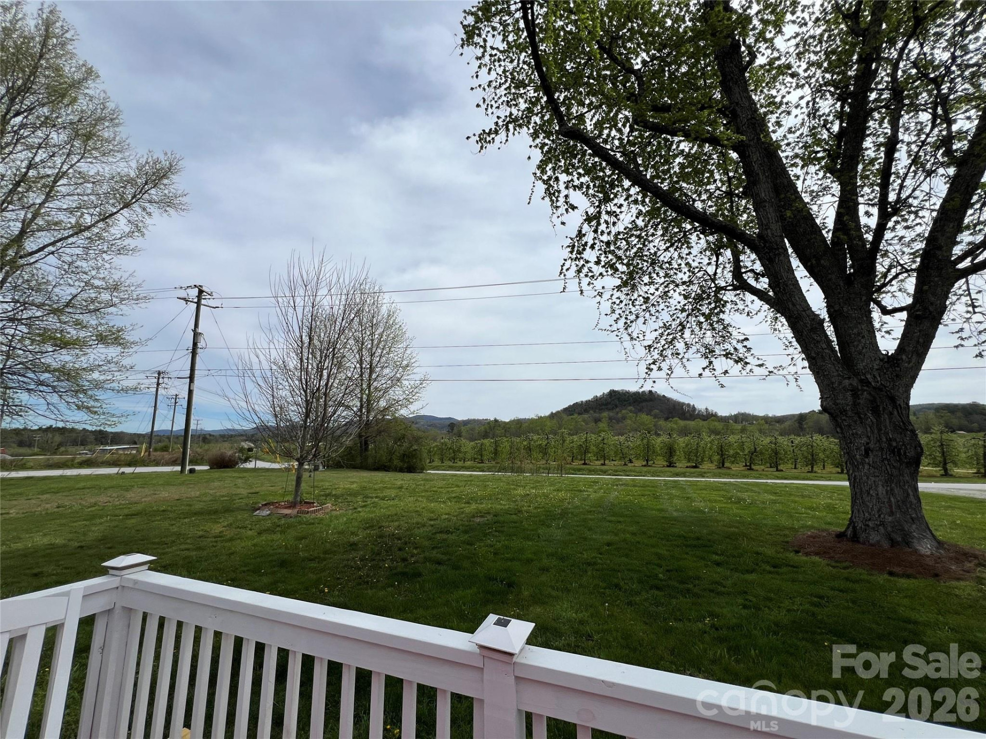 93 Laycock Road - Photo 5