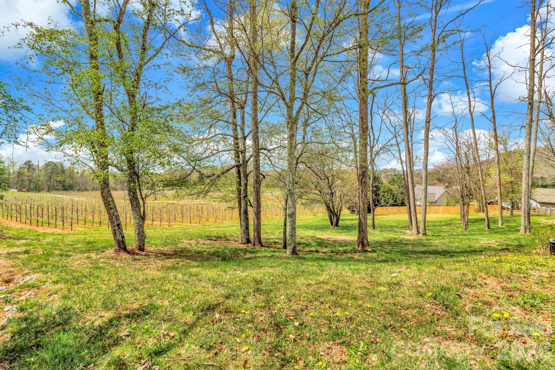 214 Lone Laurel Trail - Photo 28