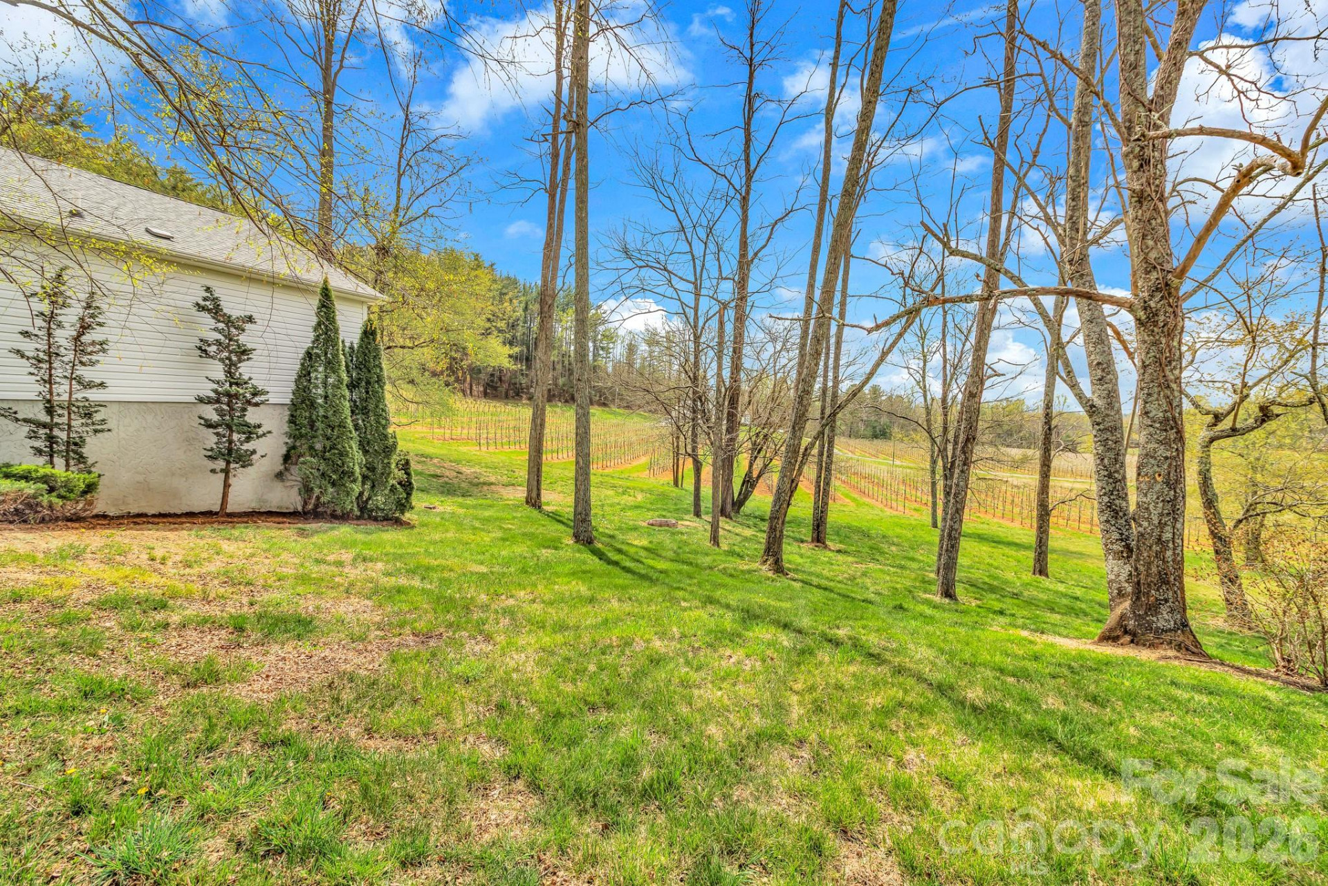 214 Lone Laurel Trail - Photo 30
