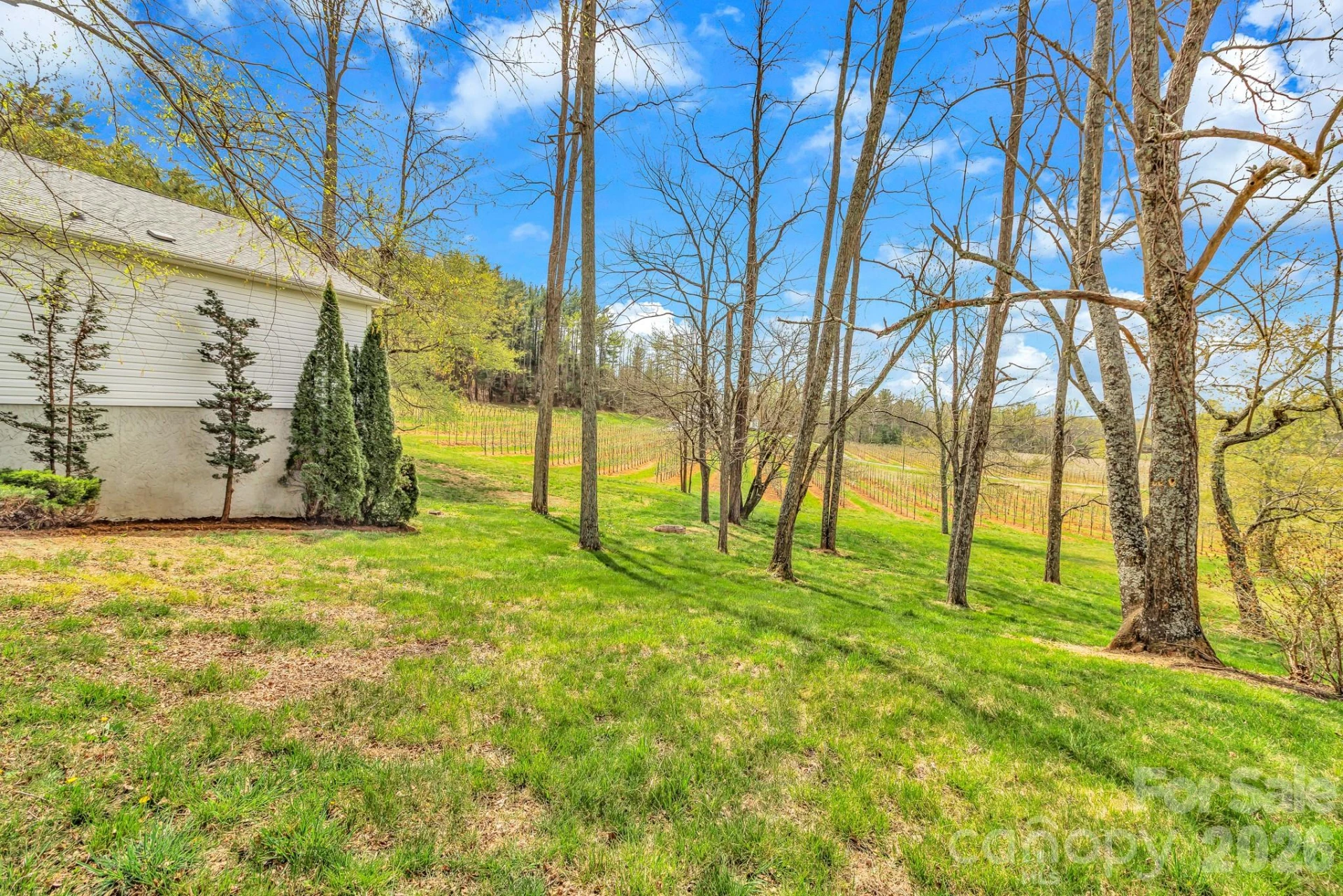 214 Lone Laurel Trail - Photo 30