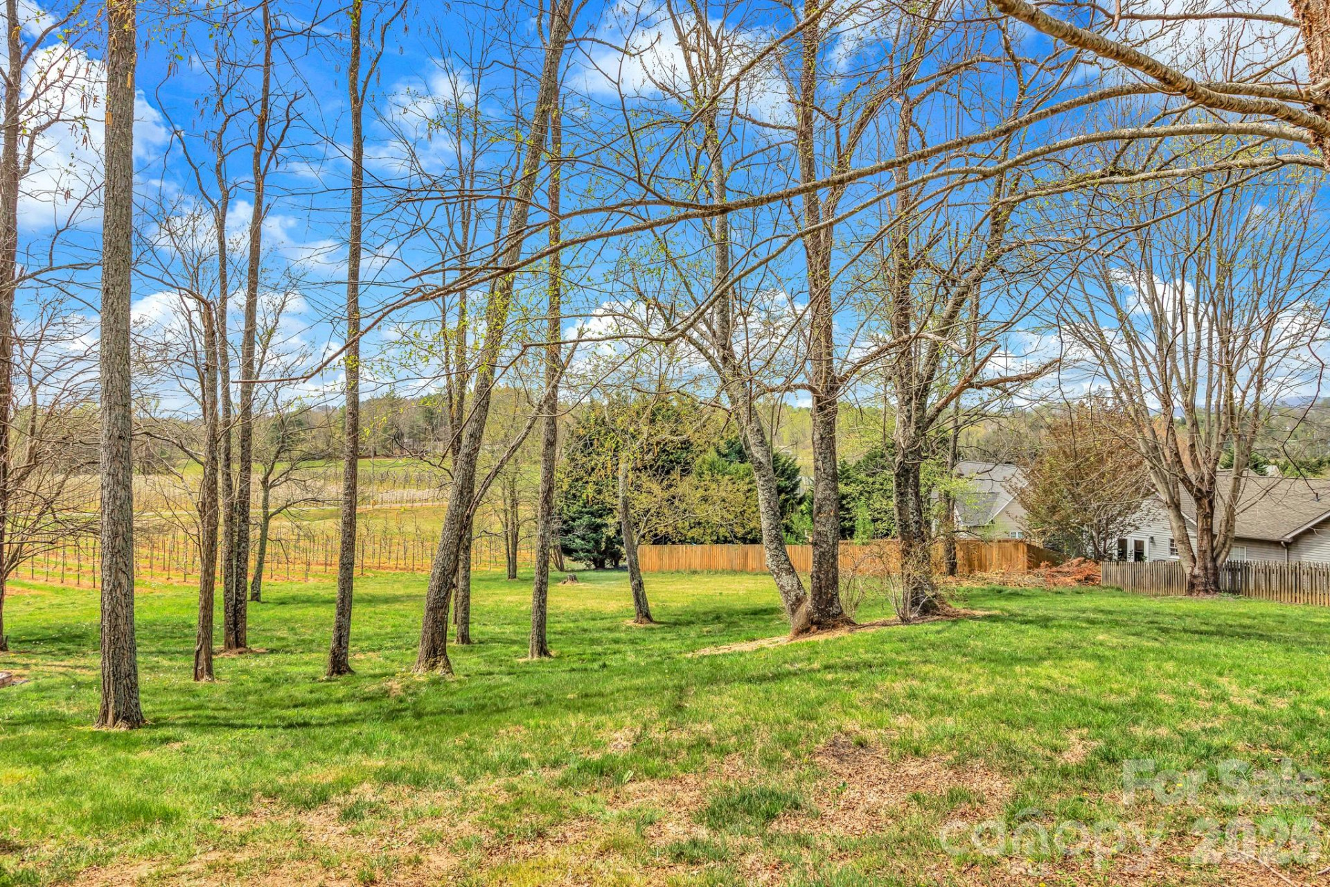 214 Lone Laurel Trail - Photo 32