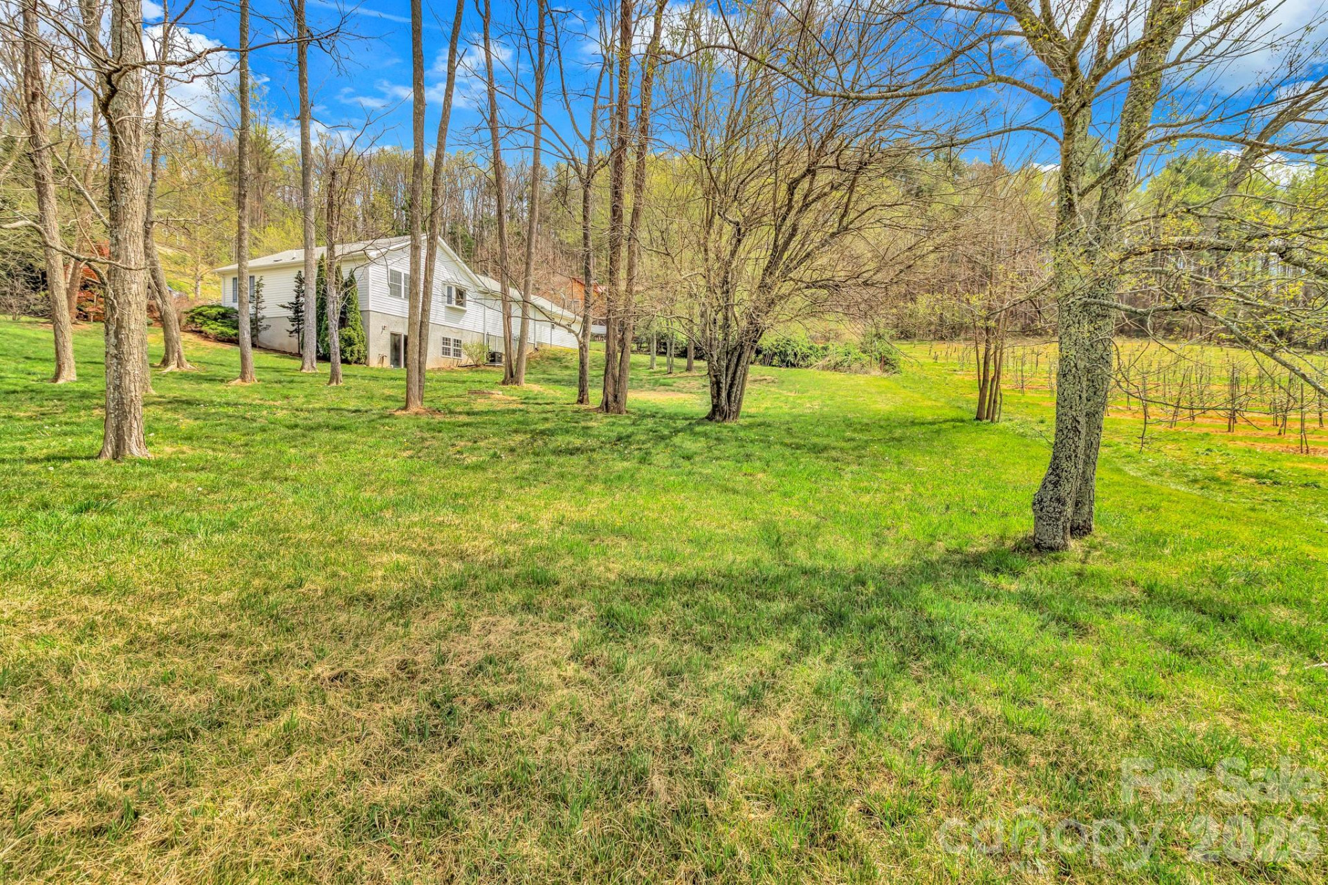 214 Lone Laurel Trail - Photo 33