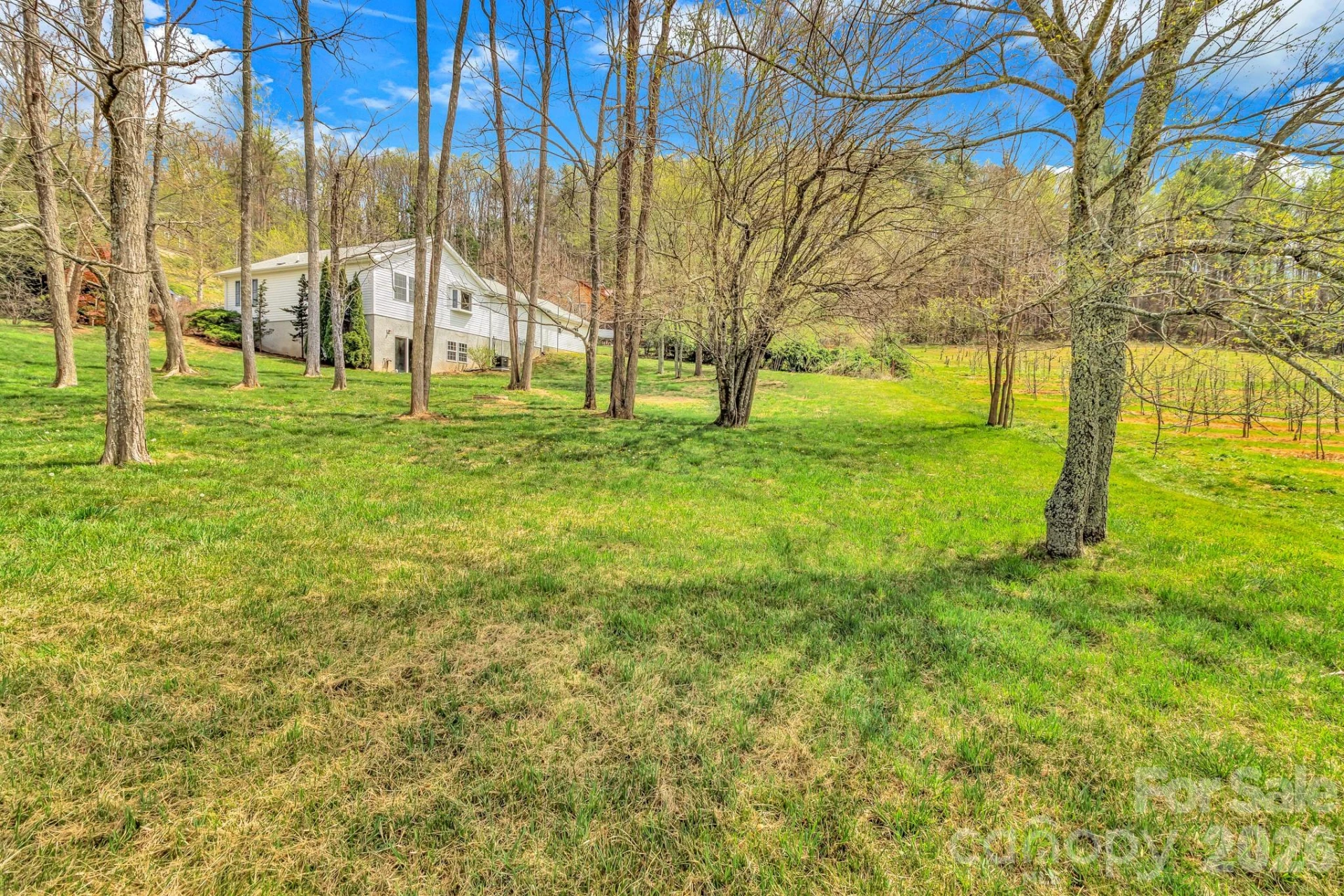 214 Lone Laurel Trail - Photo 33