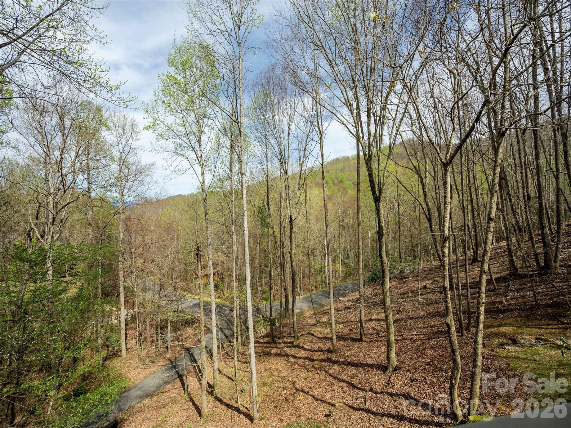 417 Blue Mist Way - Photo 6