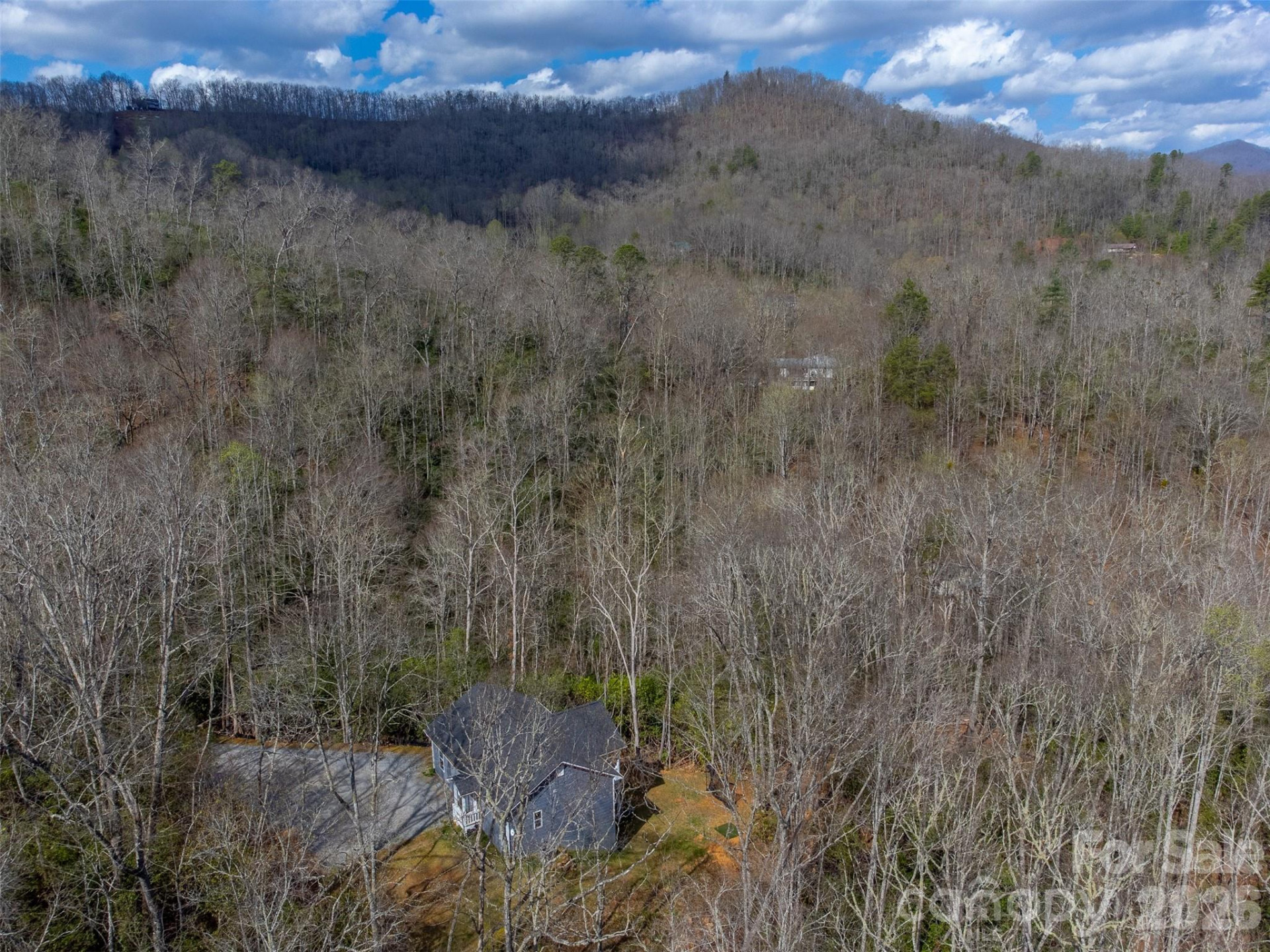 254 Ivory Lane - Photo 38