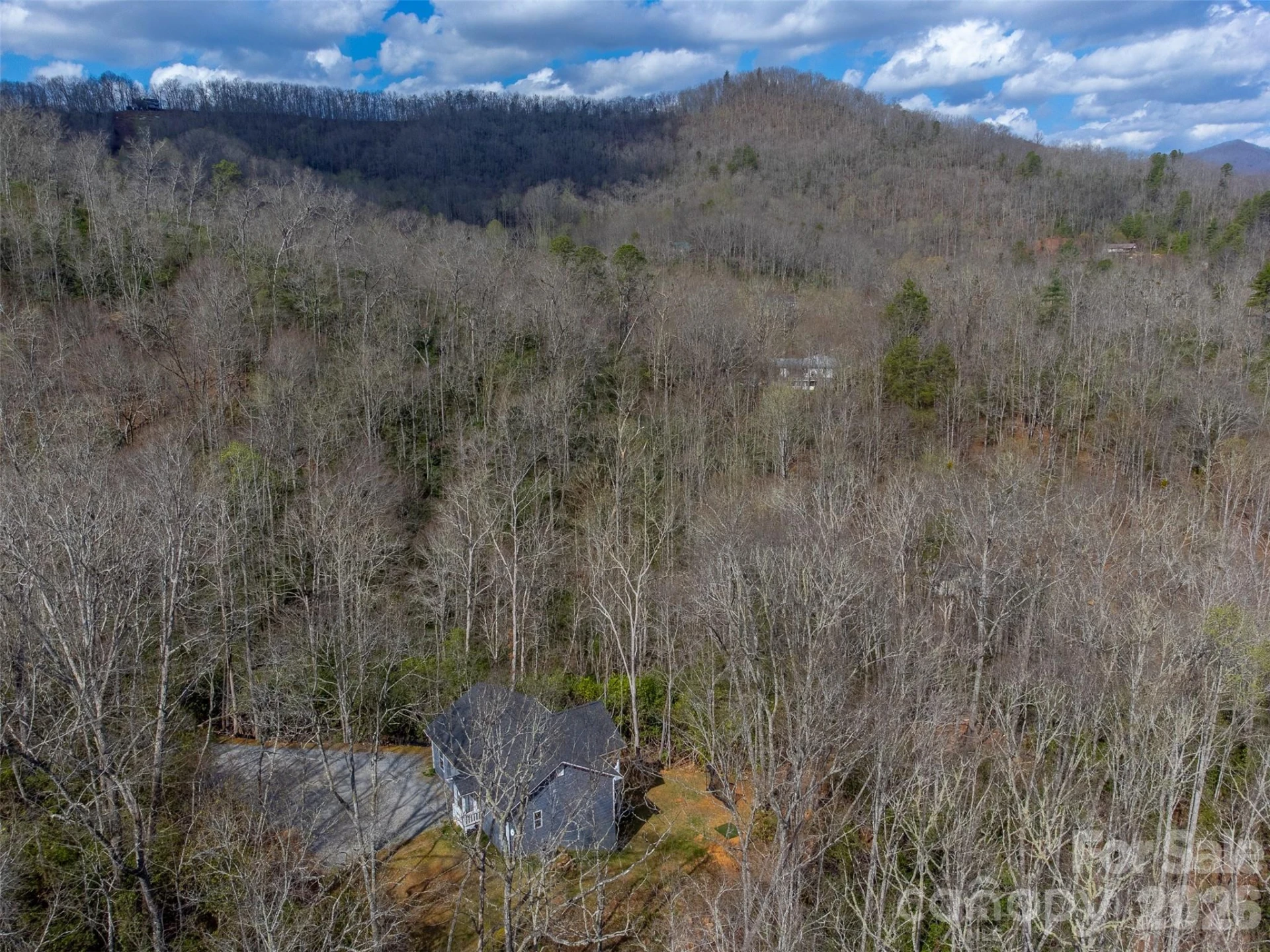 254 Ivory Lane - Photo 38