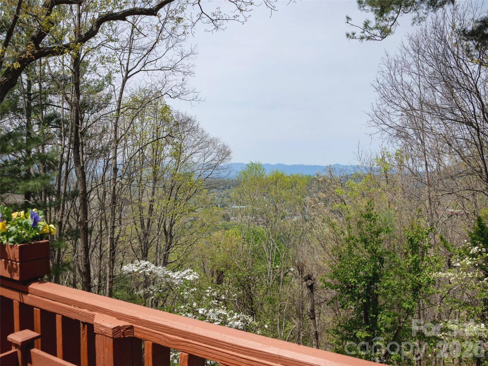 403 Cherokee Road - Photo 7