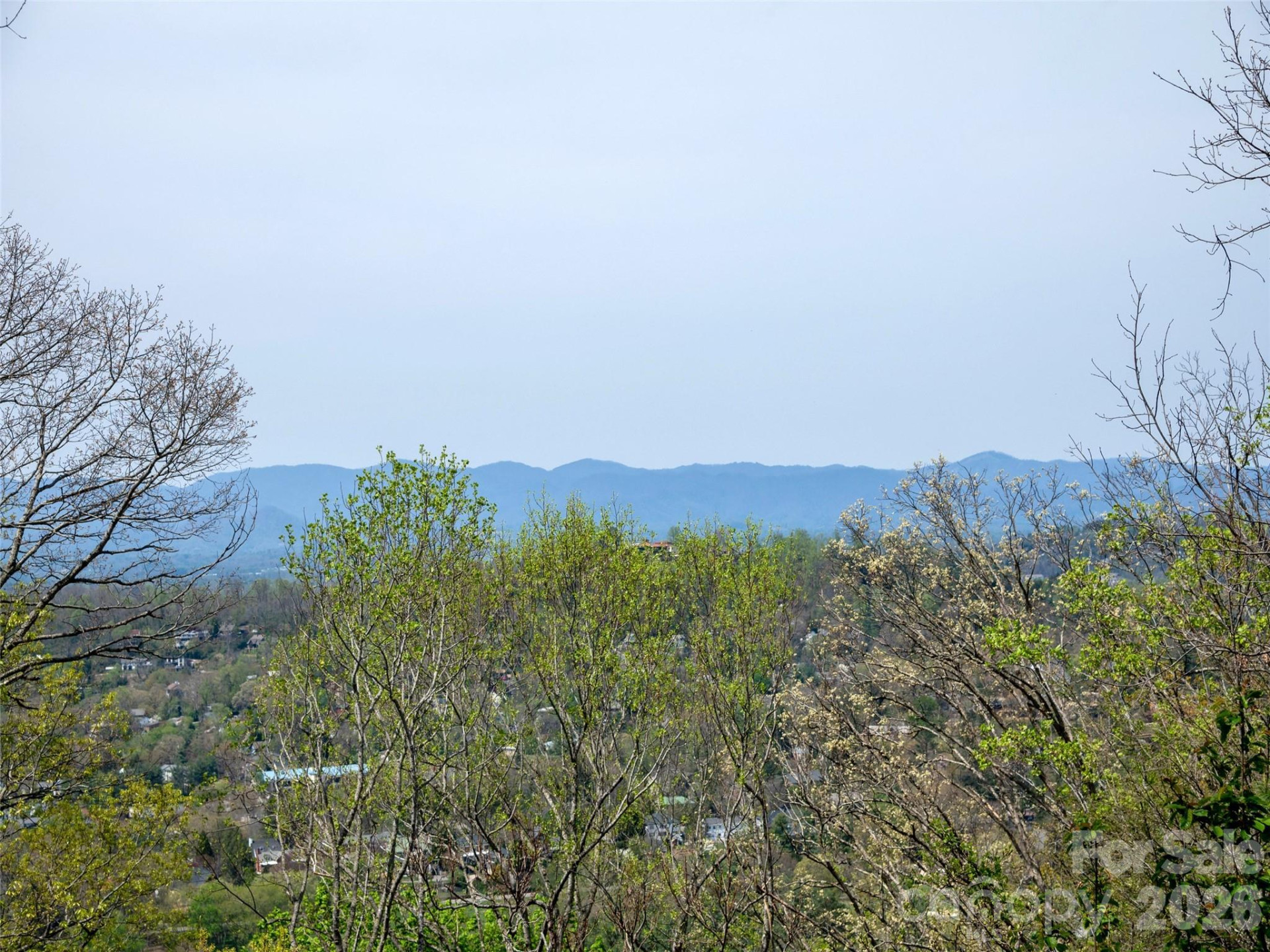 403 Cherokee Road - Photo 8