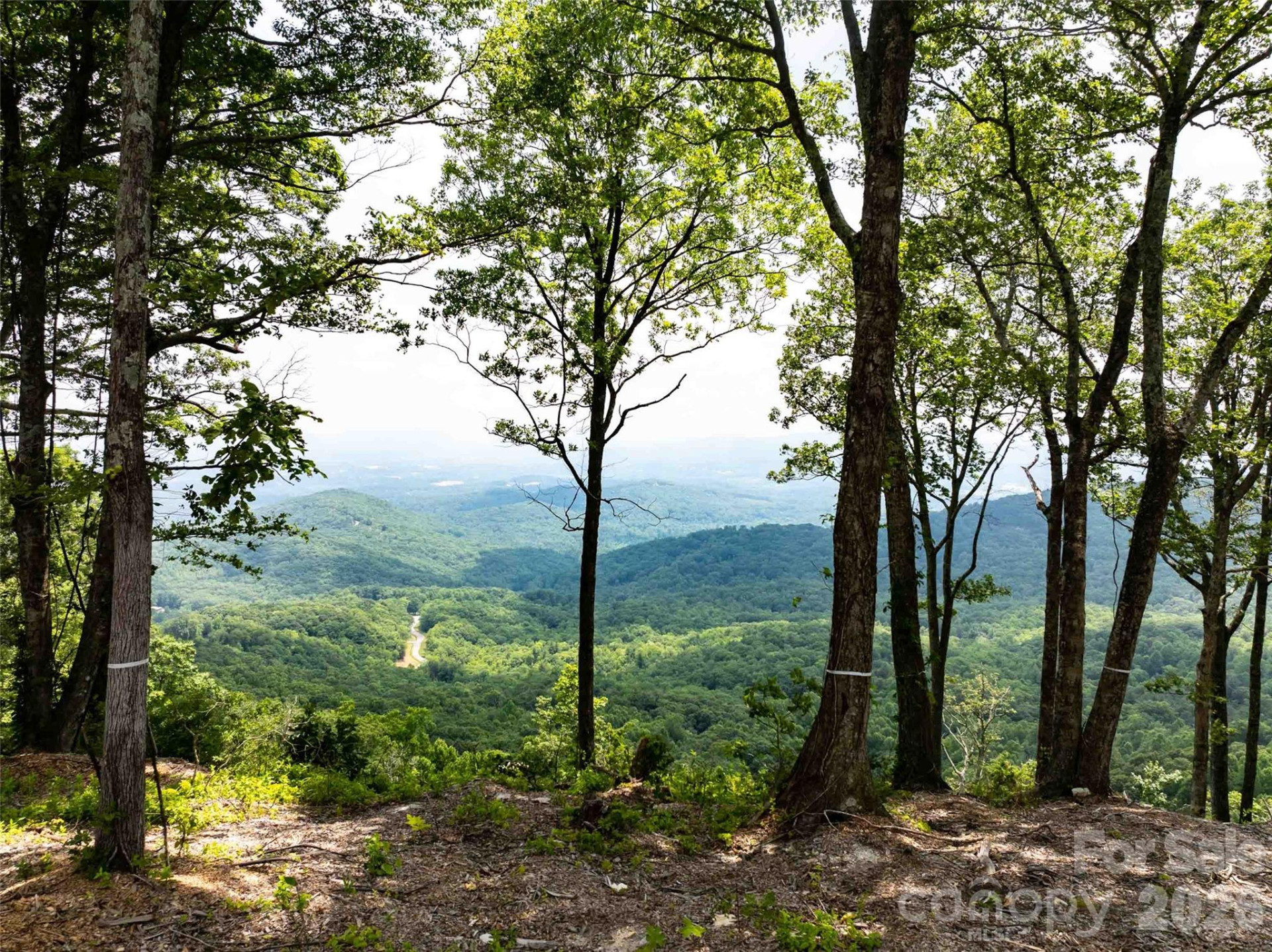63 Summit Trail Drive #Lot 25 - Photo 3