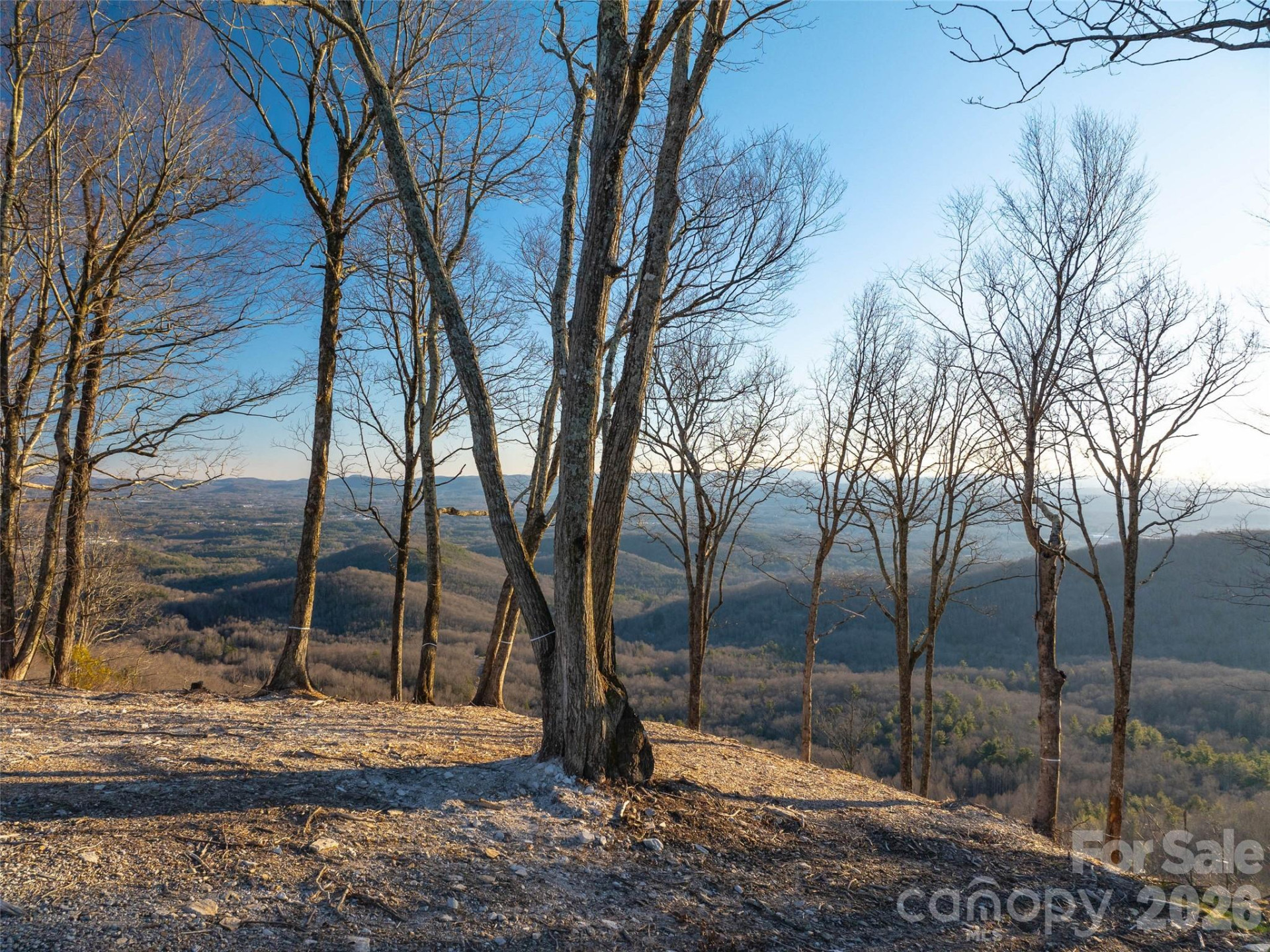 63 Summit Trail Drive #Lot 25 - Photo 27