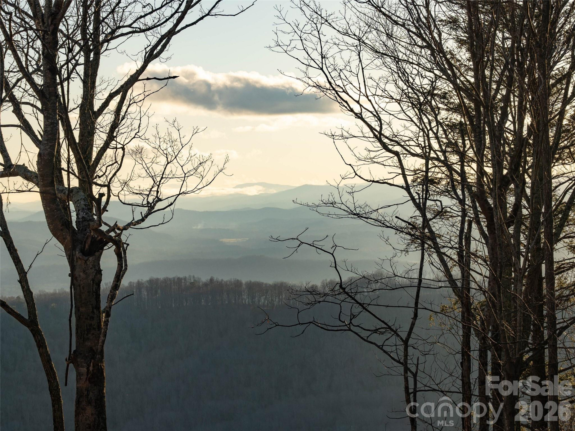 63 Summit Trail Drive #Lot 25 - Photo 38