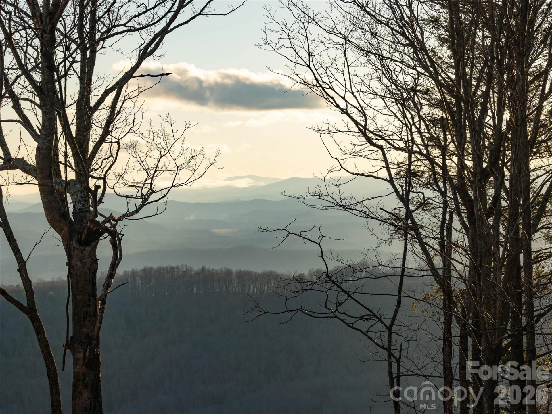63 Summit Trail Drive #Lot 25 - Photo 38