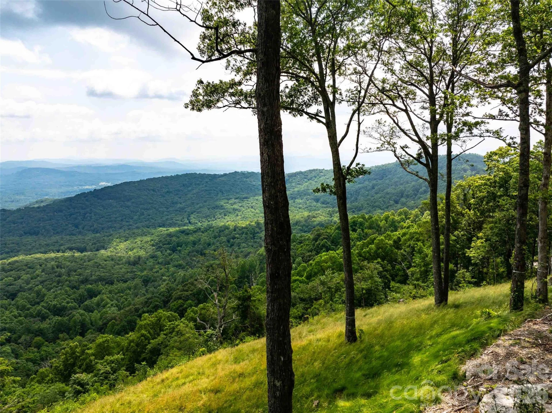 63 Summit Trail Drive #Lot 25 - Photo 5
