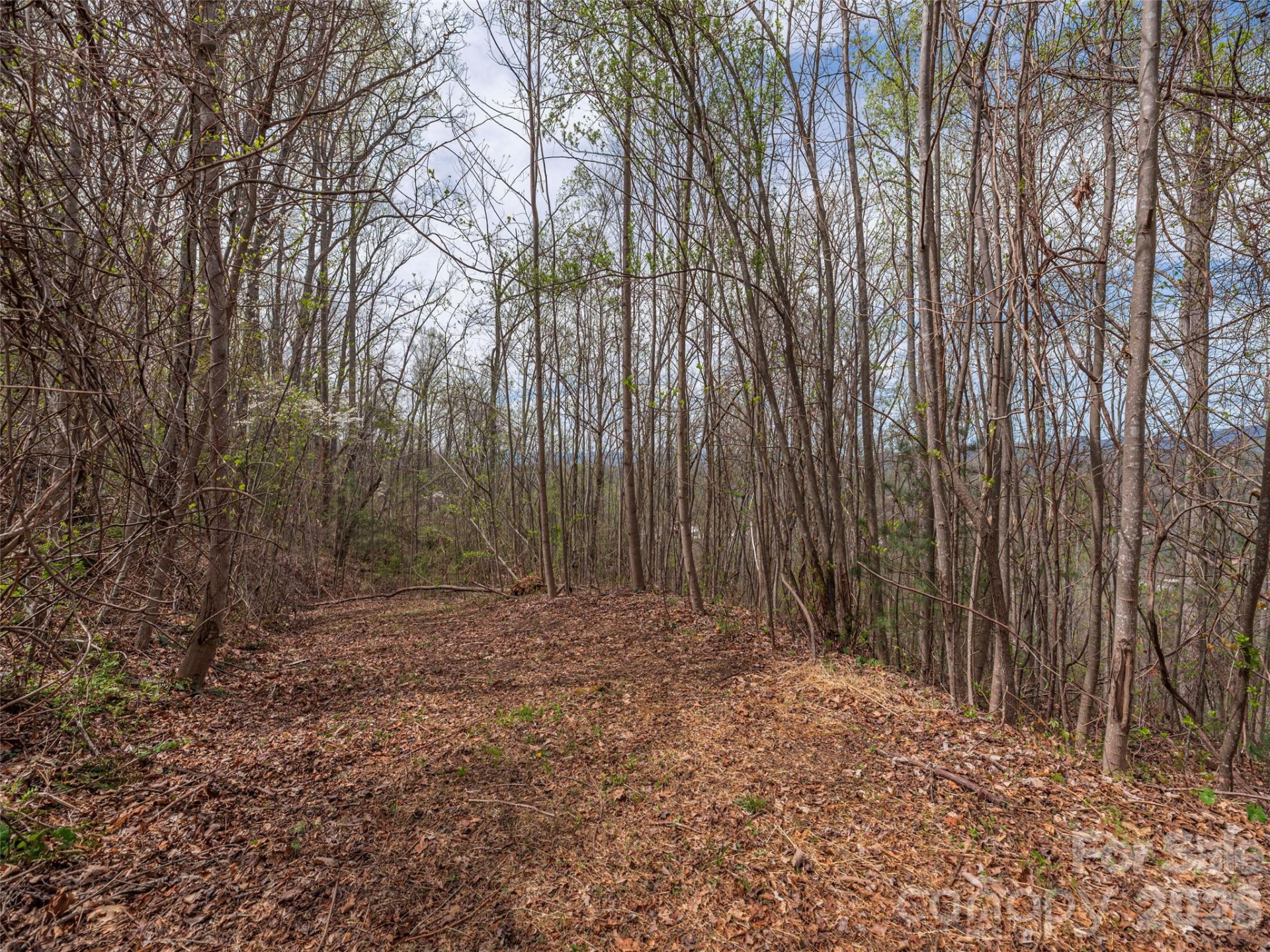 137 & 145 Cedar Mountain Road - Photo 2