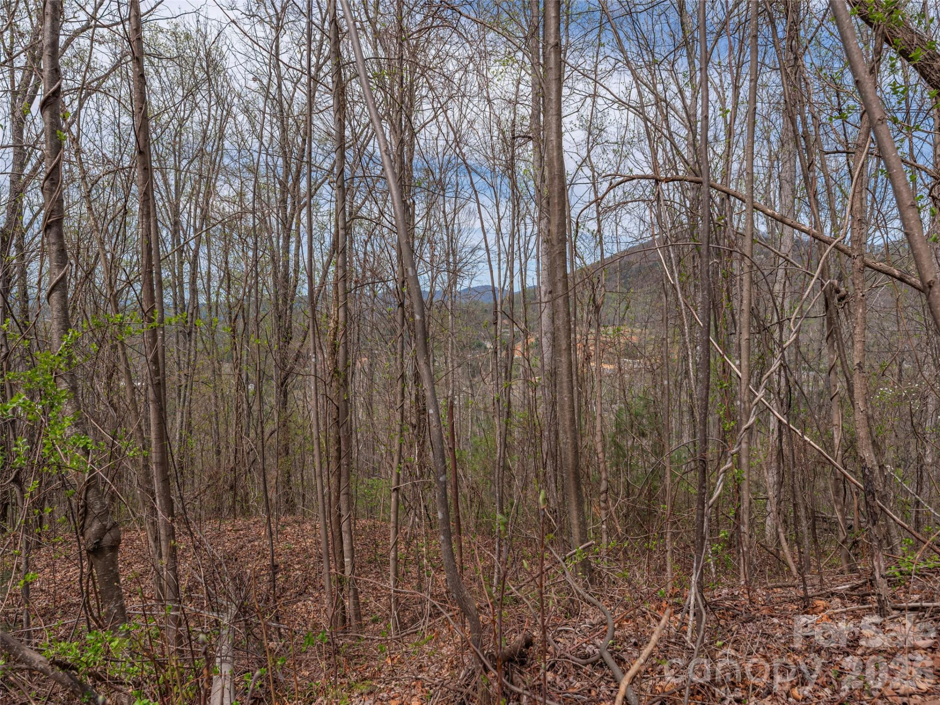 137 & 145 Cedar Mountain Road - Photo 3