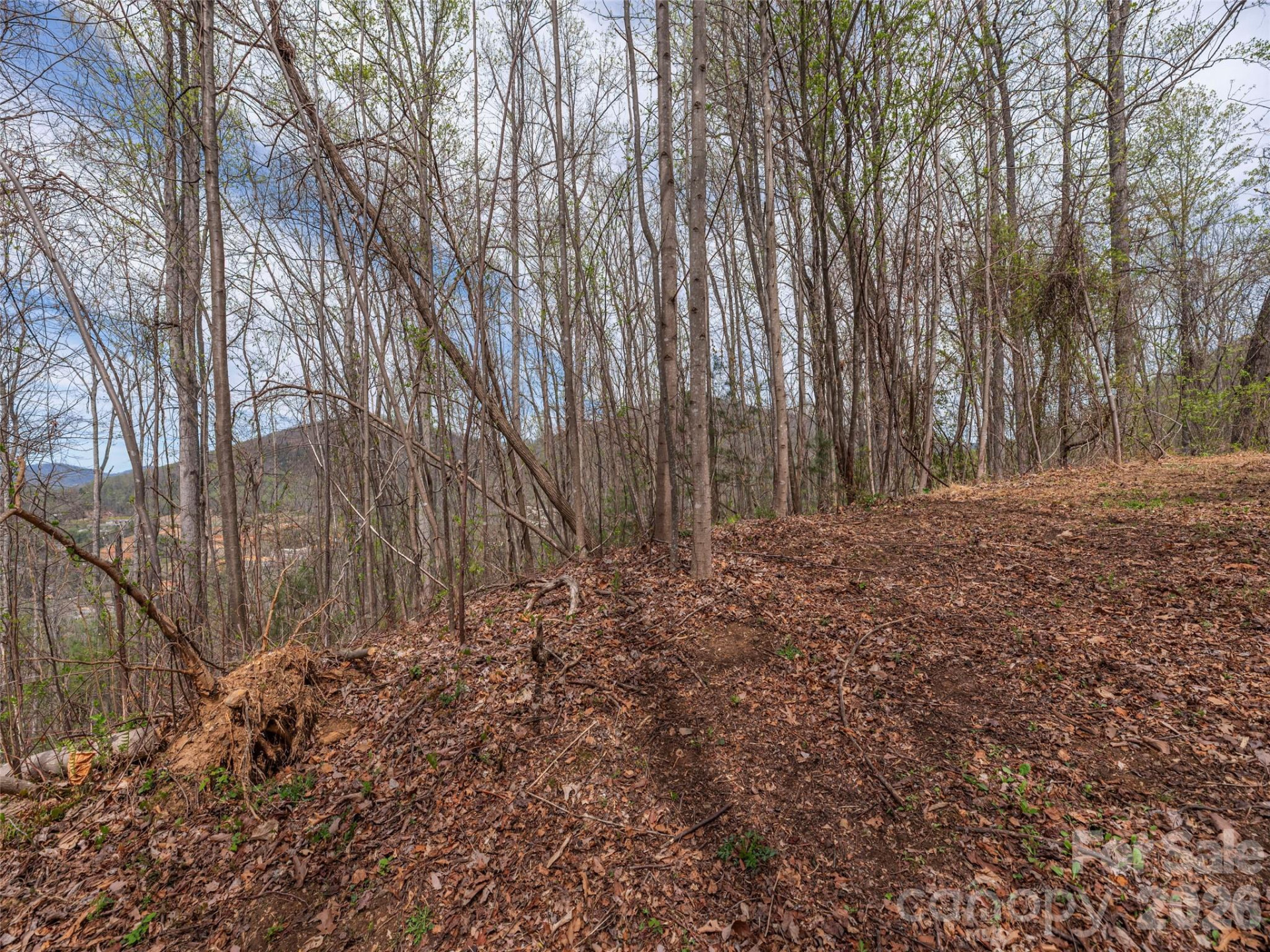 137 & 145 Cedar Mountain Road - Photo 4