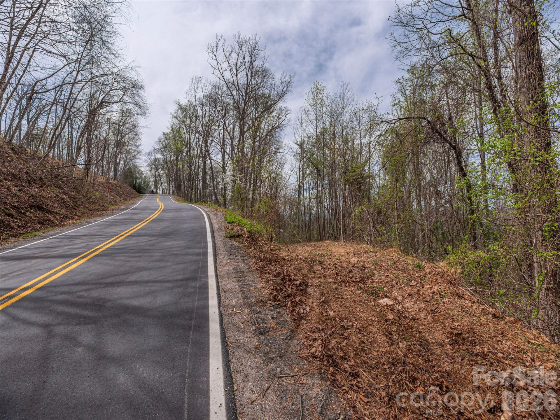 137 & 145 Cedar Mountain Road - Photo 5