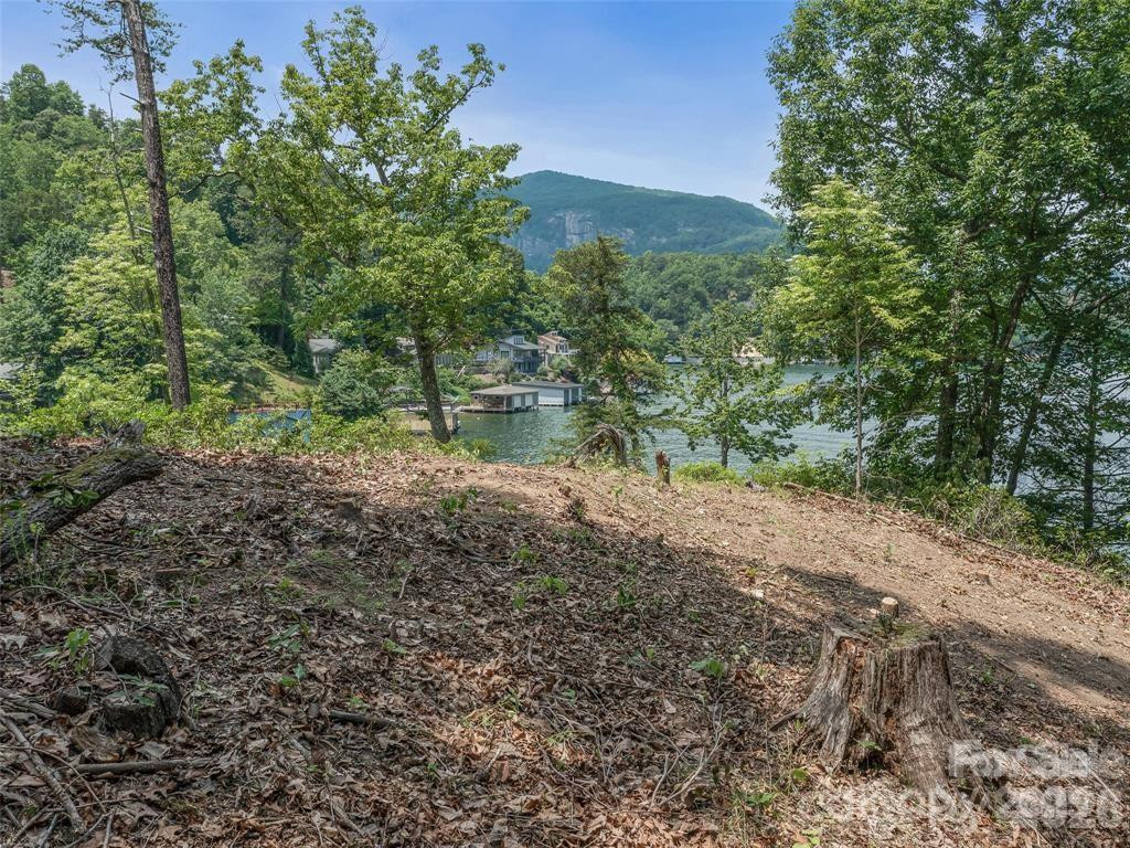 99999 Hawthorne Drive - Photo 10