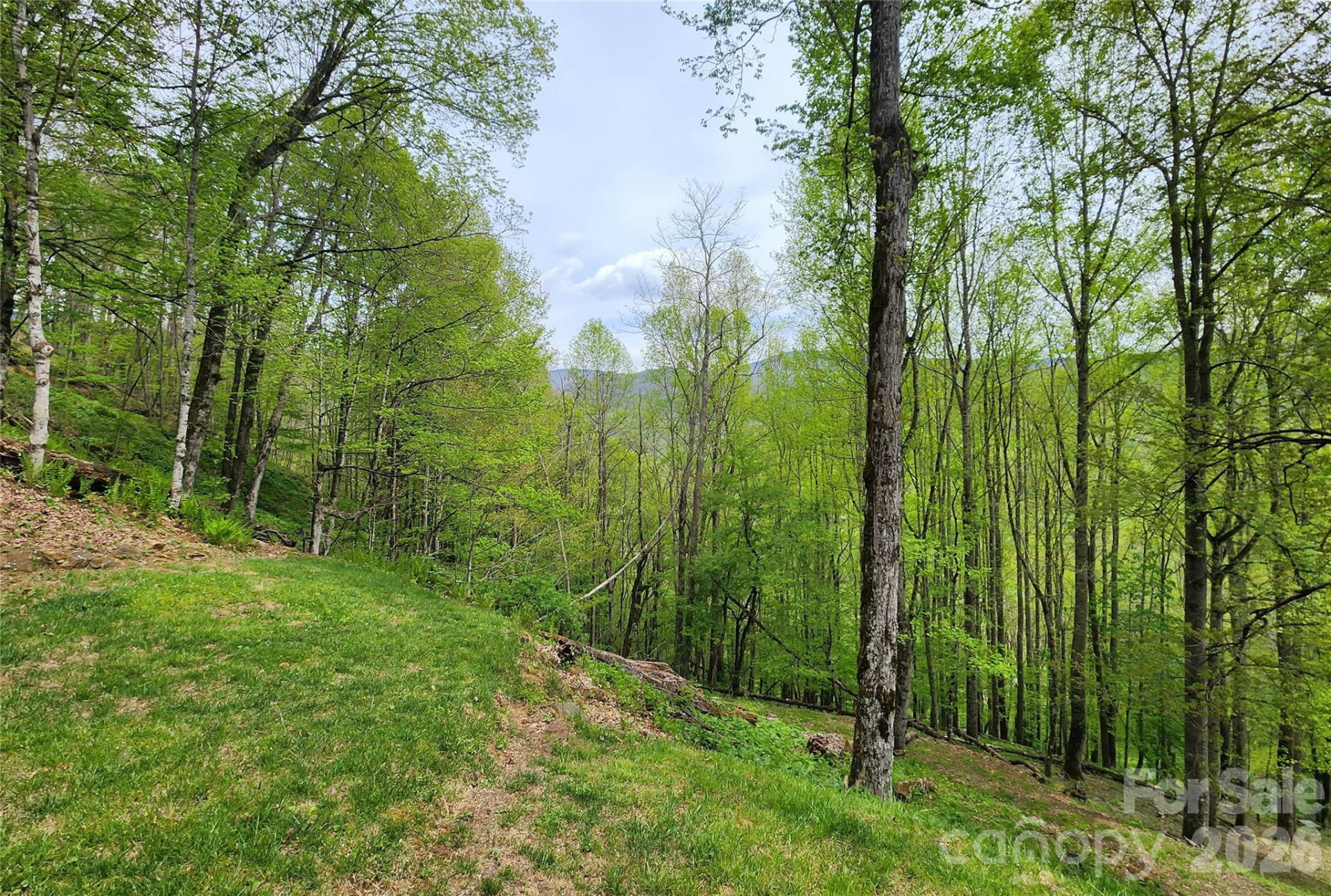 604 Croft View Drive - Photo 13