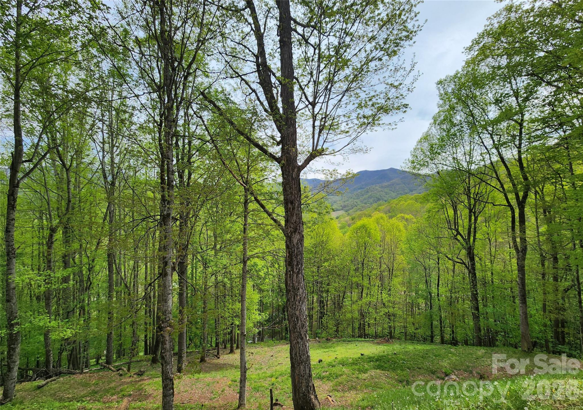 604 Croft View Drive - Photo 6